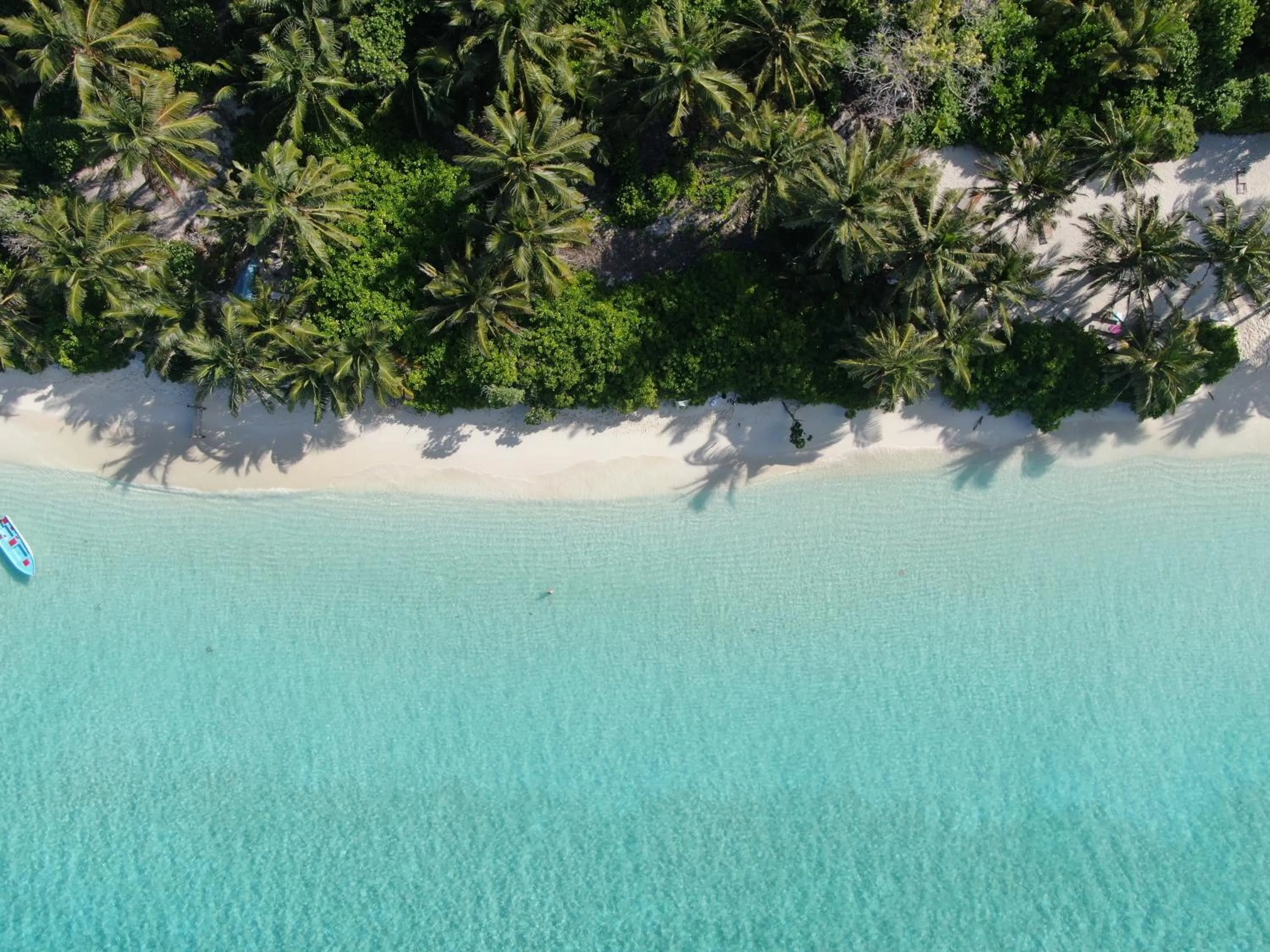 Bird's eye view in Thoddoo Island Life