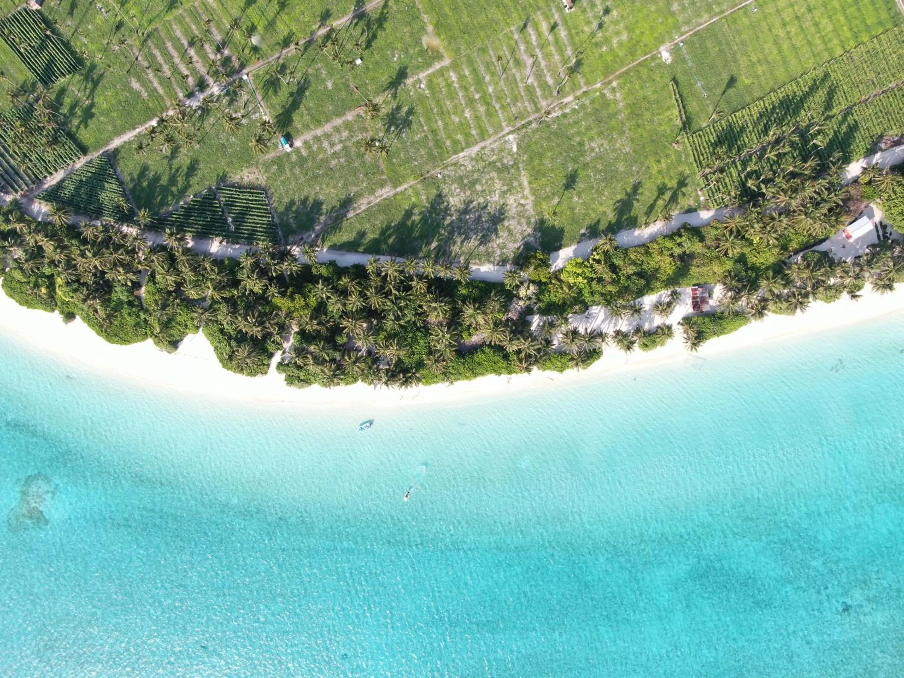 Bird's eye view in Thoddoo Island Life