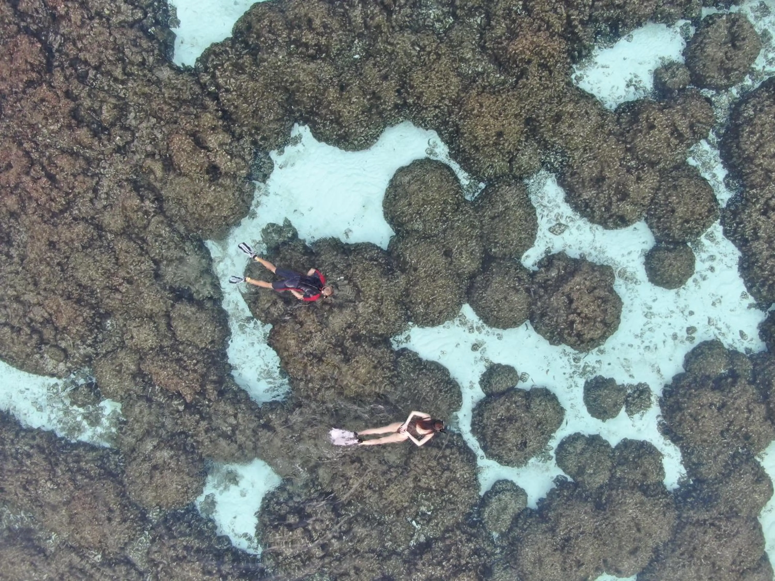 Bird's eye view in Thoddoo Island Life