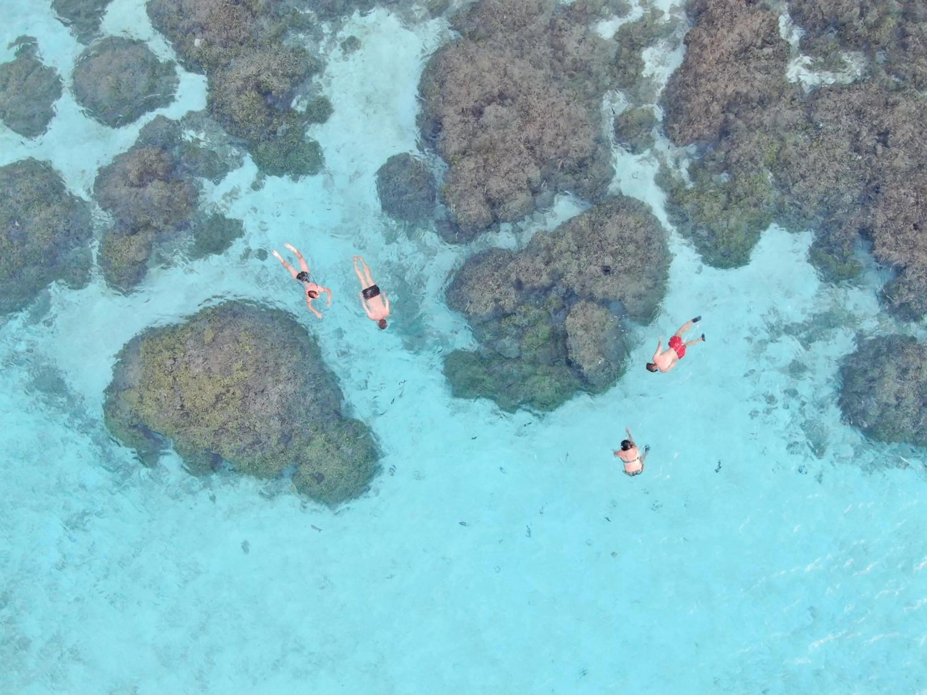 Bird's eye view in Thoddoo Island Life