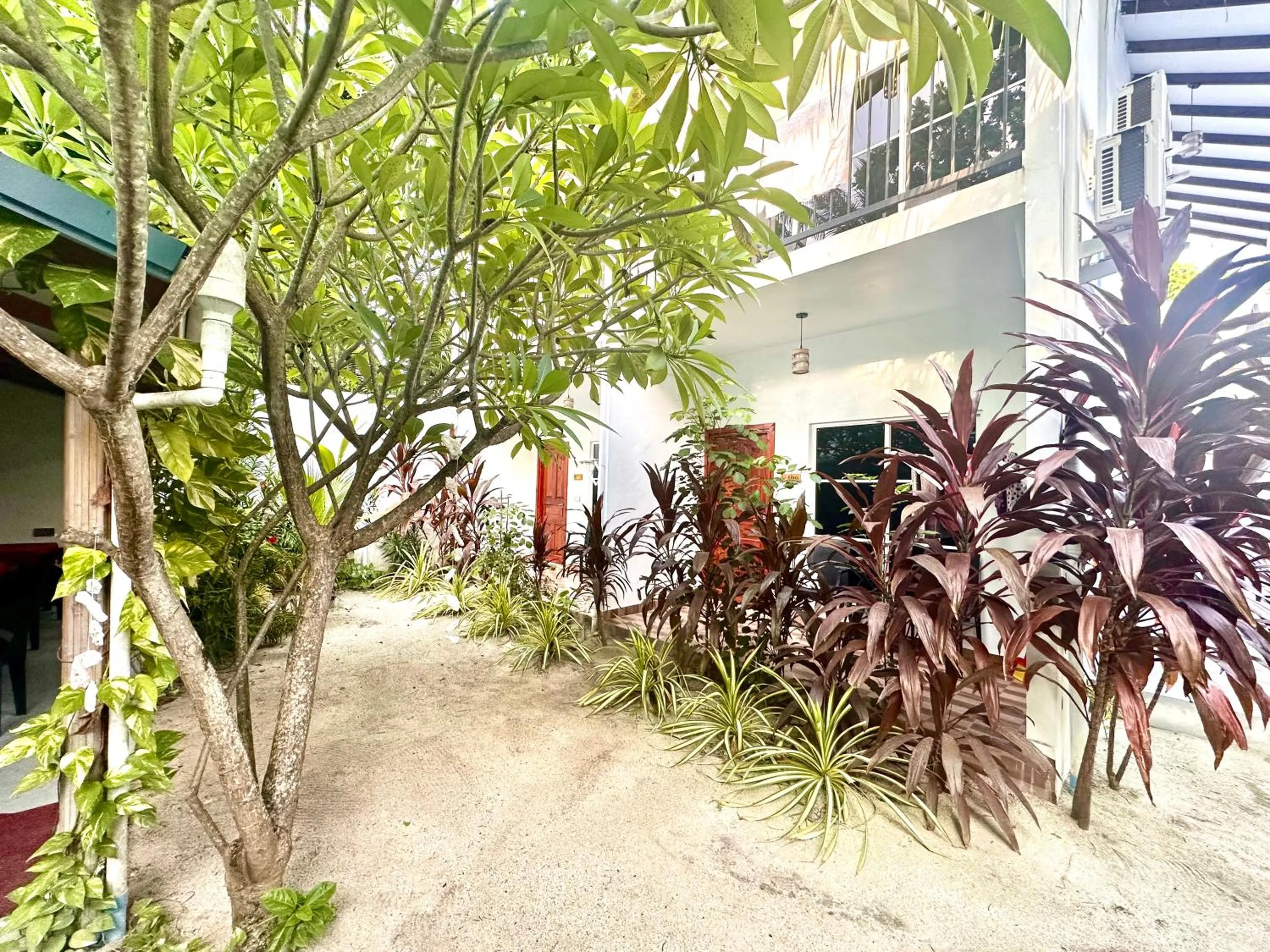 Day in Thoddoo Island Life