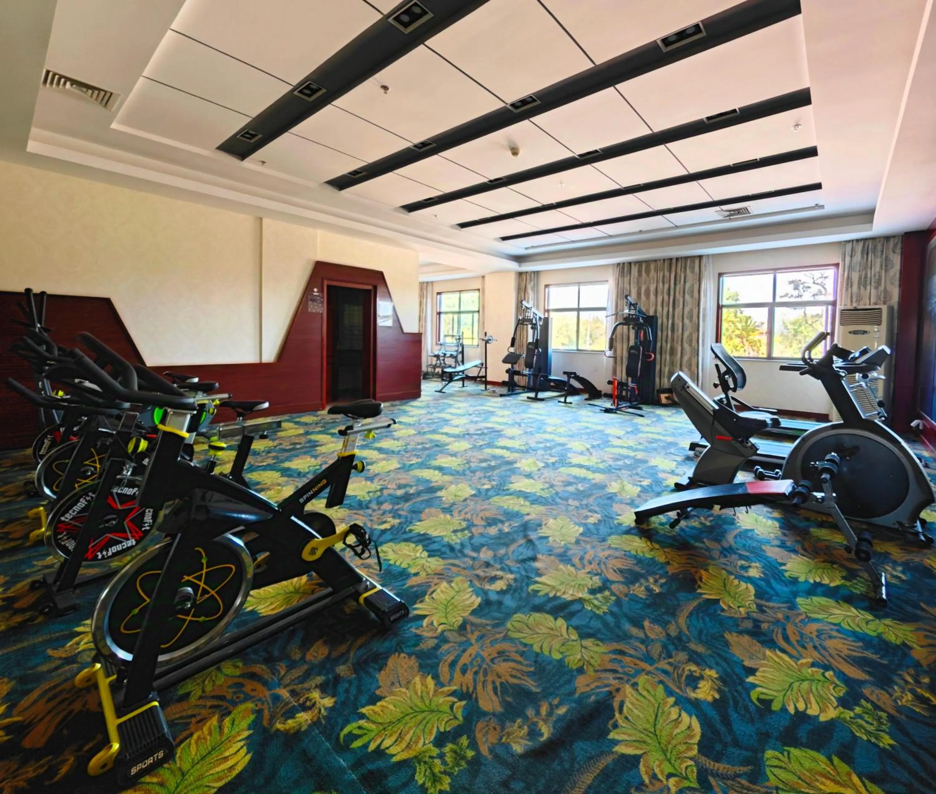 Fitness centre/facilities in Golden Peacock Hotel Blantyre