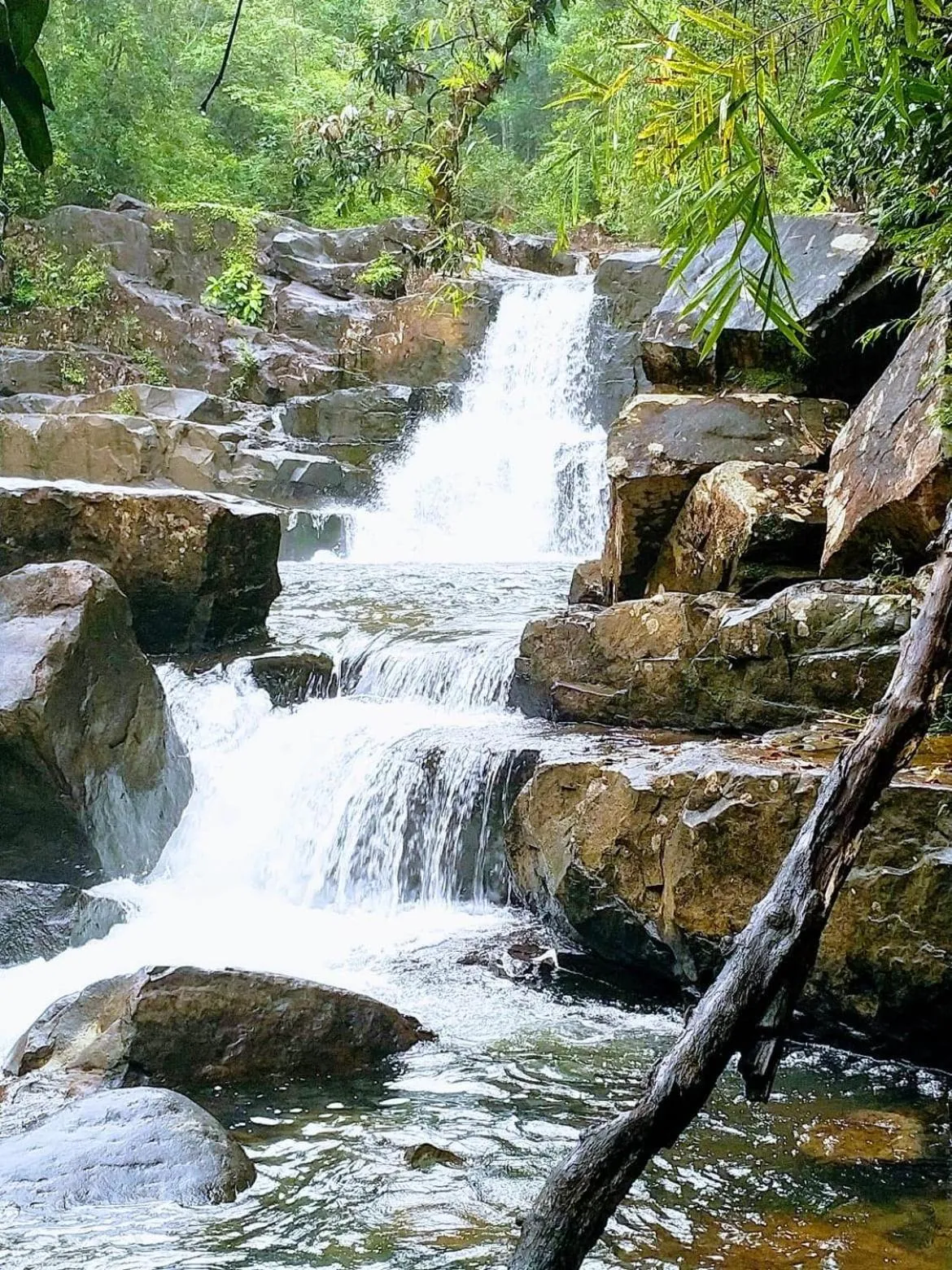 Natural landscape in Kuba Bungalows