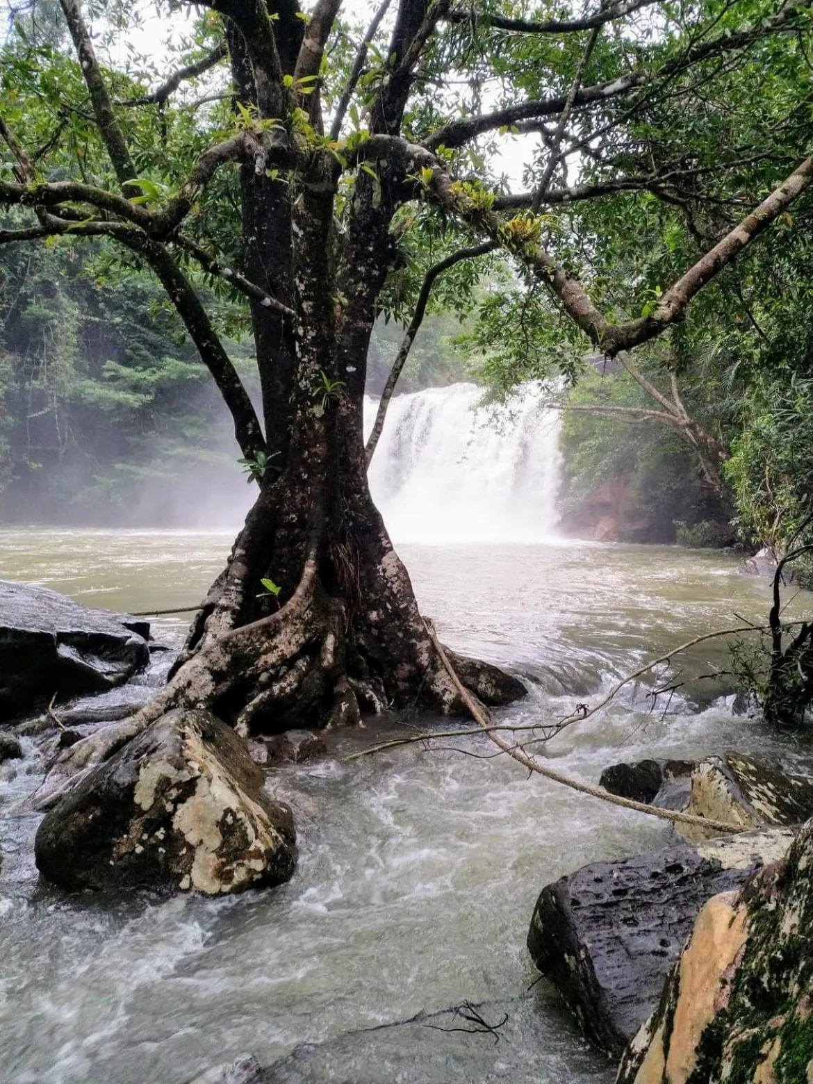 Natural landscape in Kuba Bungalows