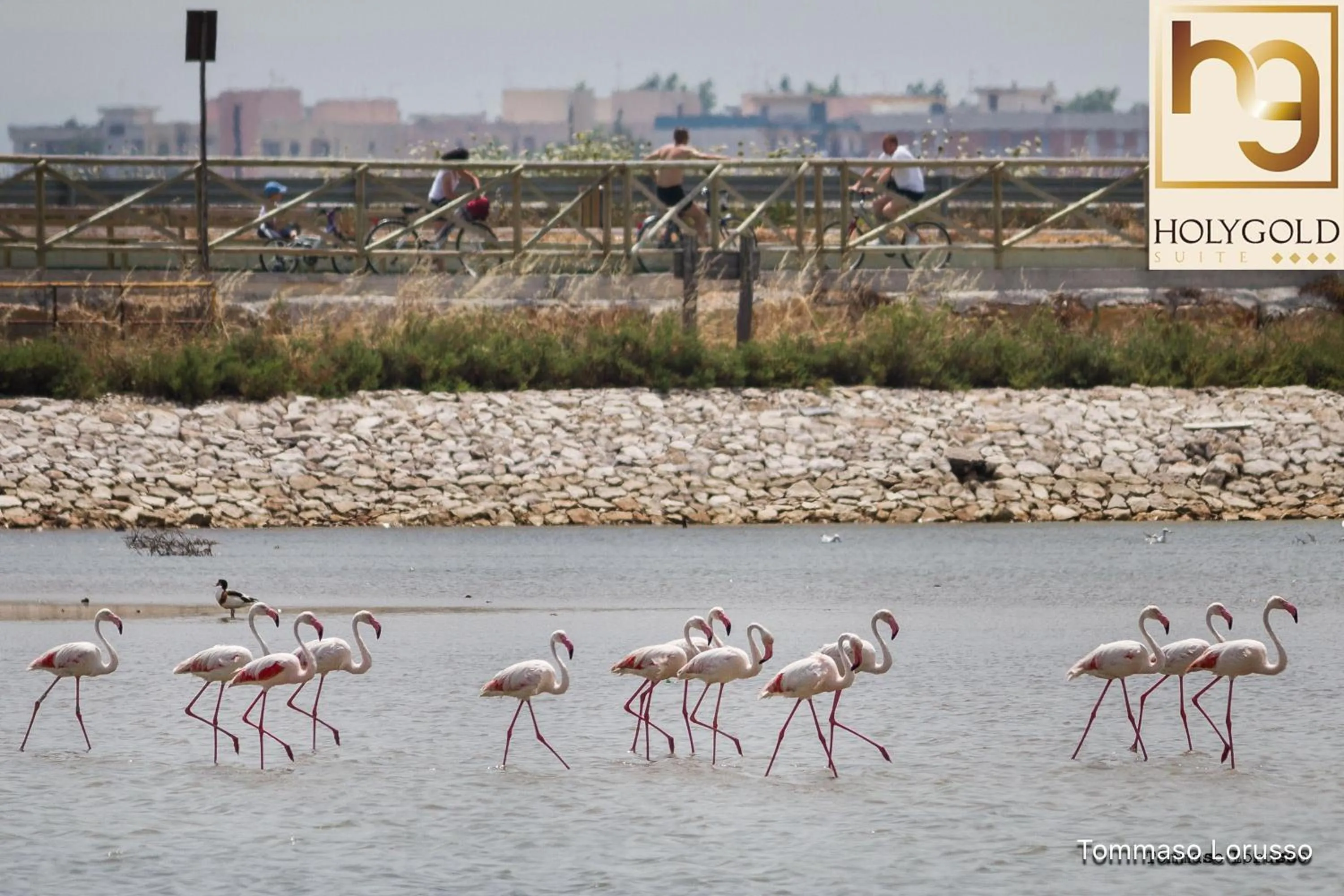 Hiking in HOLYGOLD Suite ****