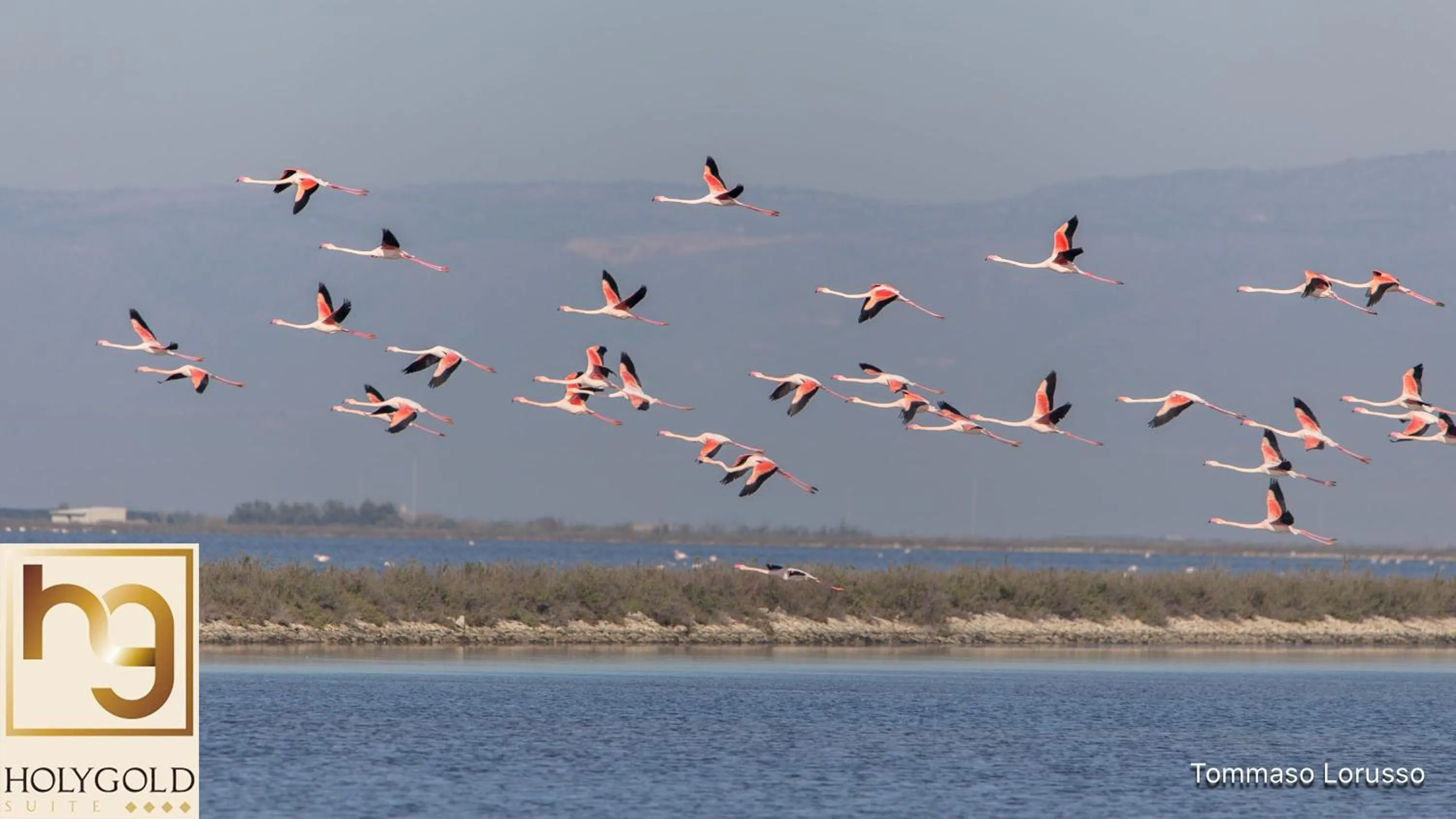 Natural landscape in HOLYGOLD Suite ****