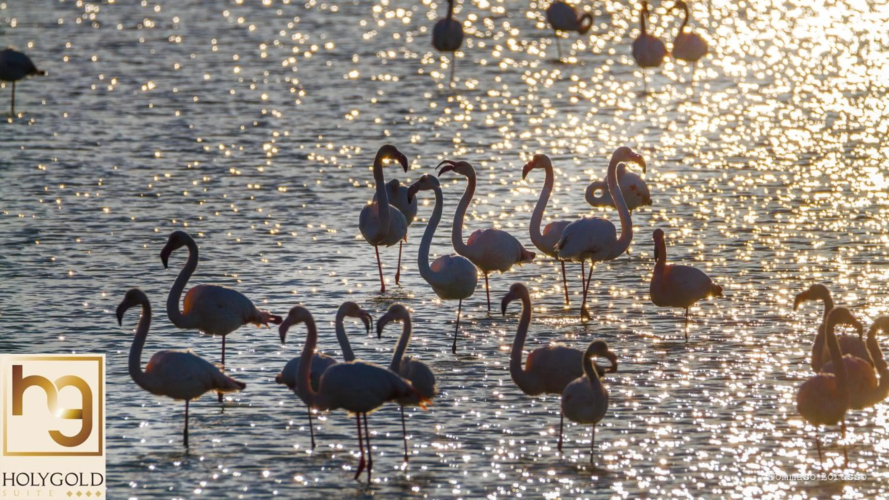 Natural landscape in HOLYGOLD Suite ****