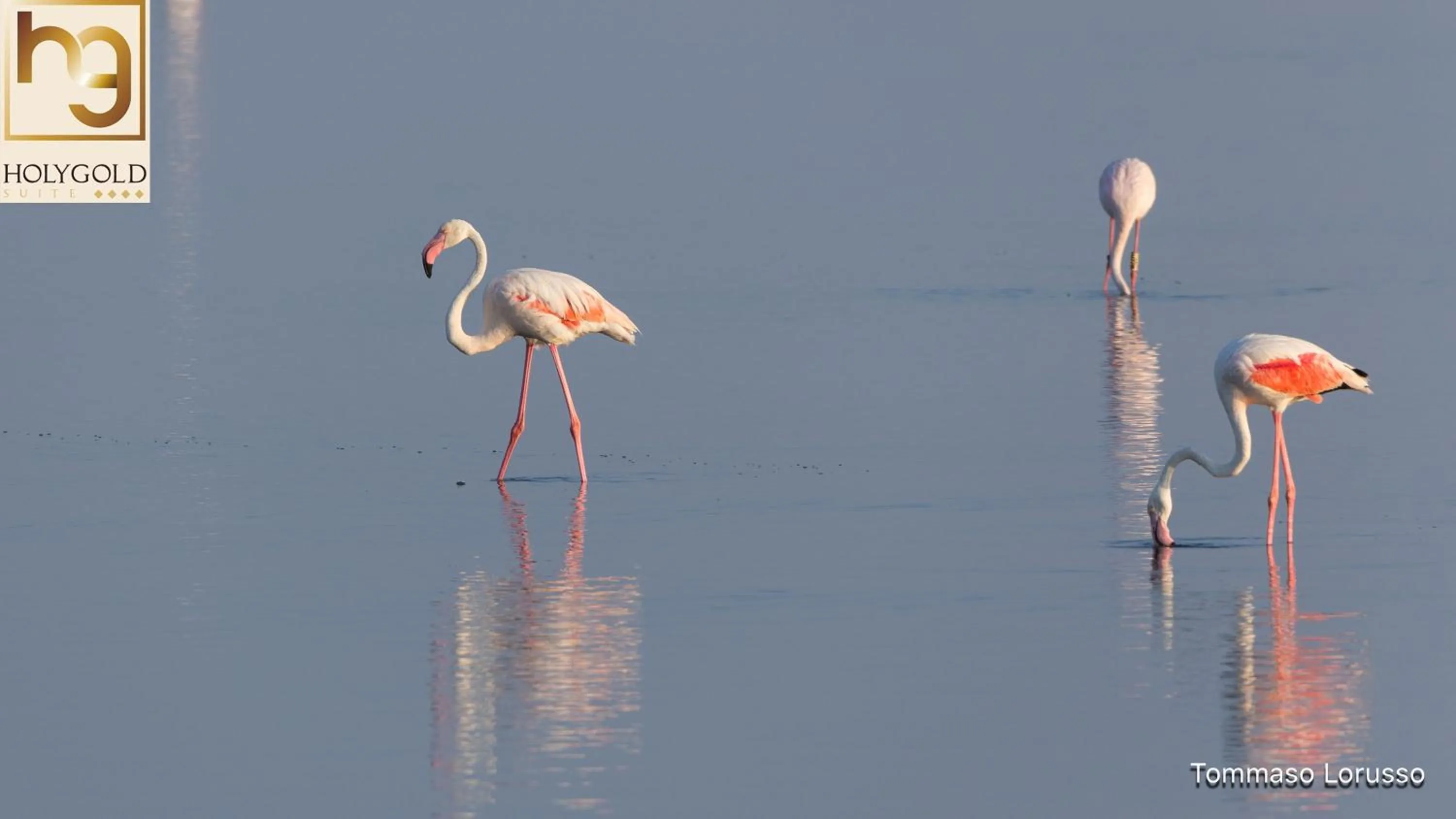 Natural landscape in HOLYGOLD Suite ****