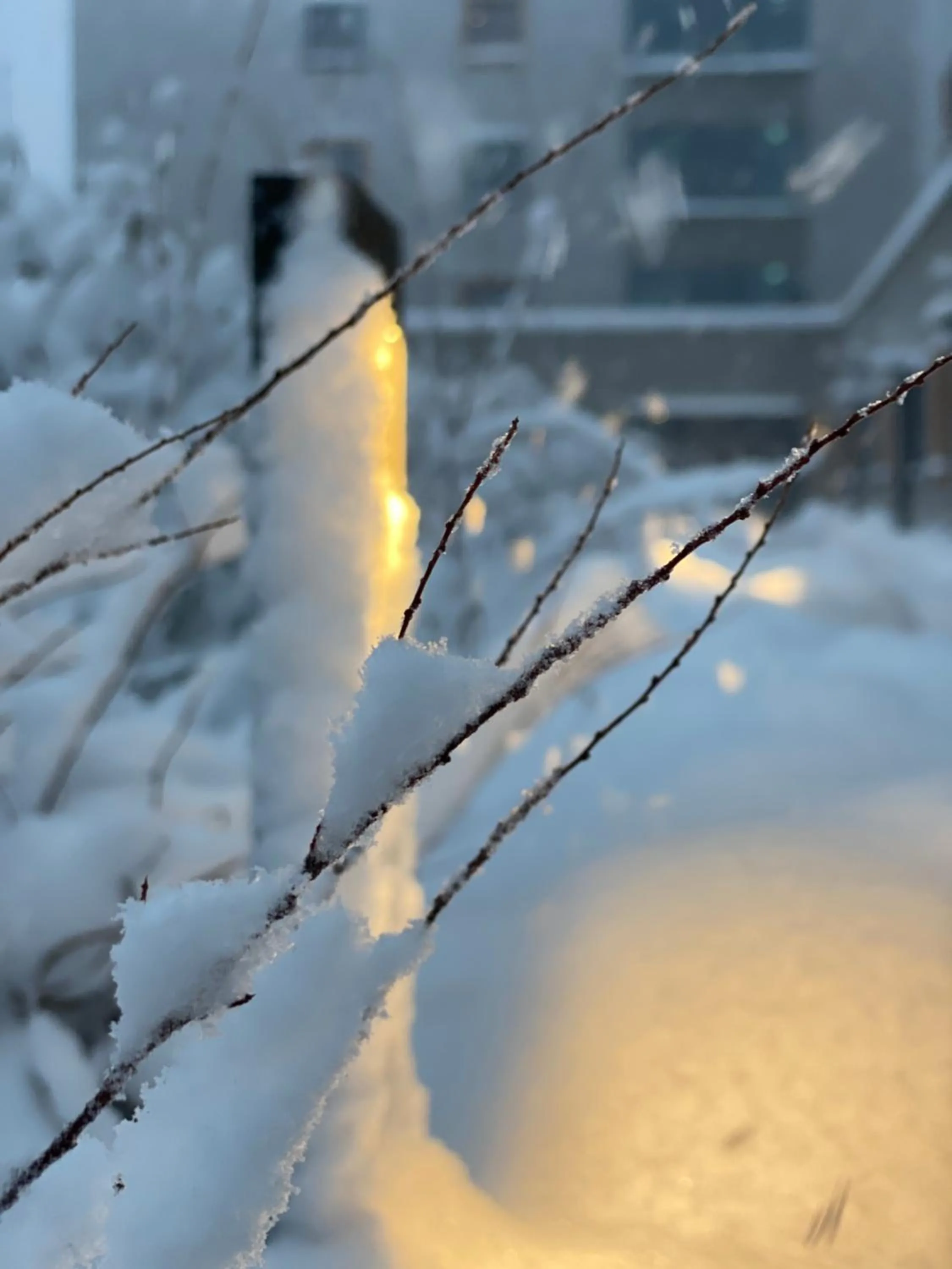 Winter in moun10 urlaubswohnen