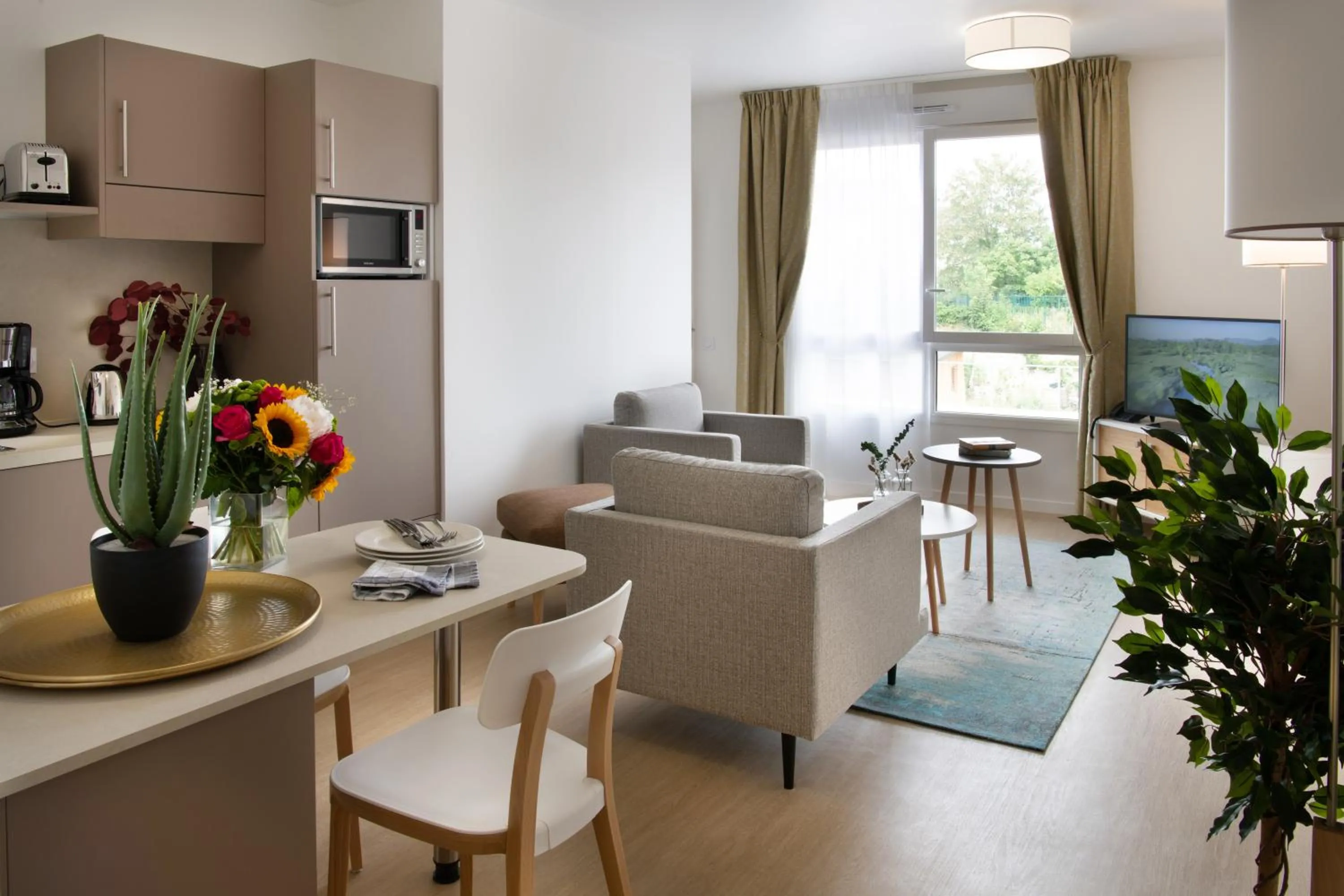 Living room in DOMITYS - Le Solstice