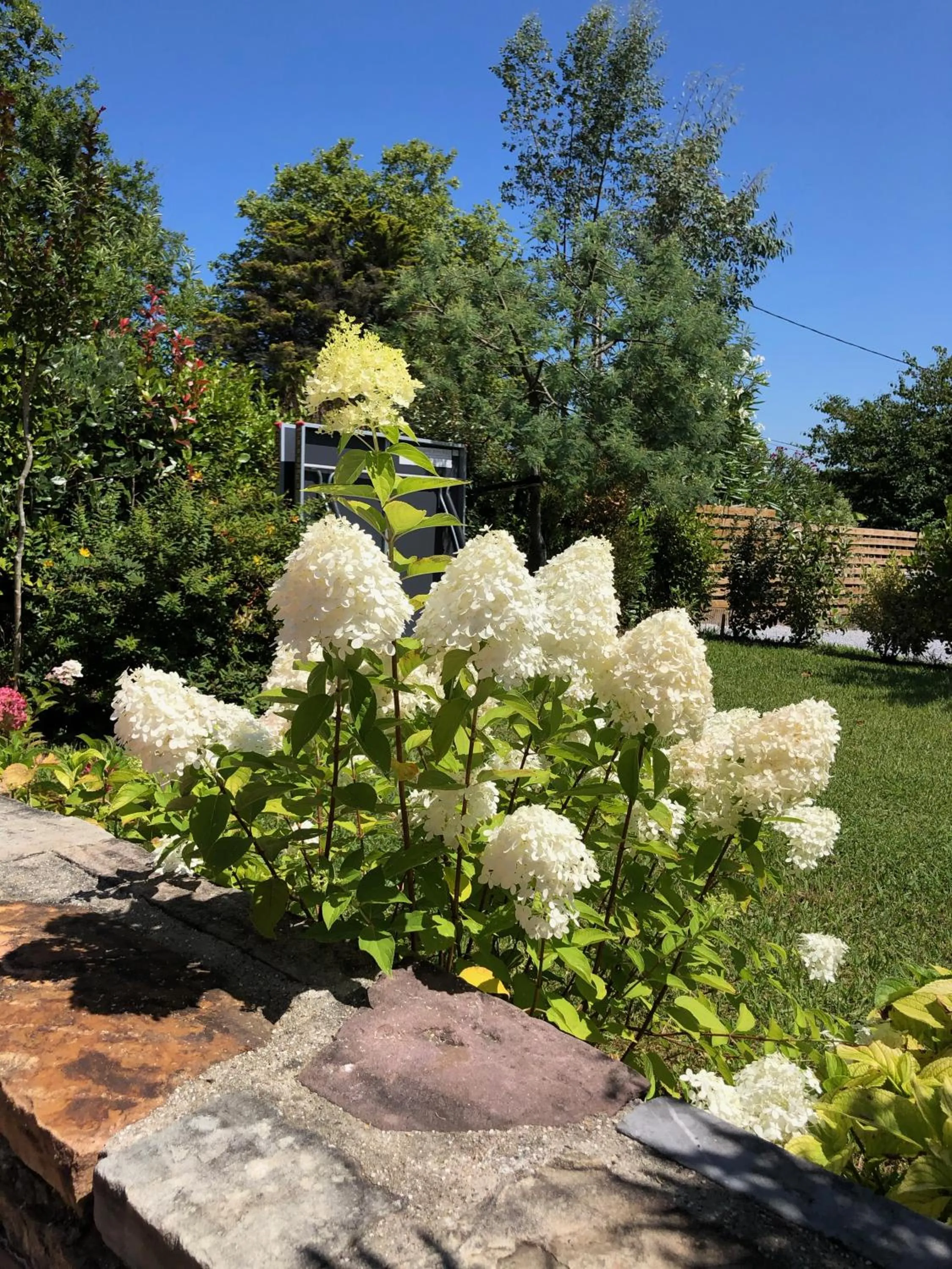 Spring in La ferme d'Ika