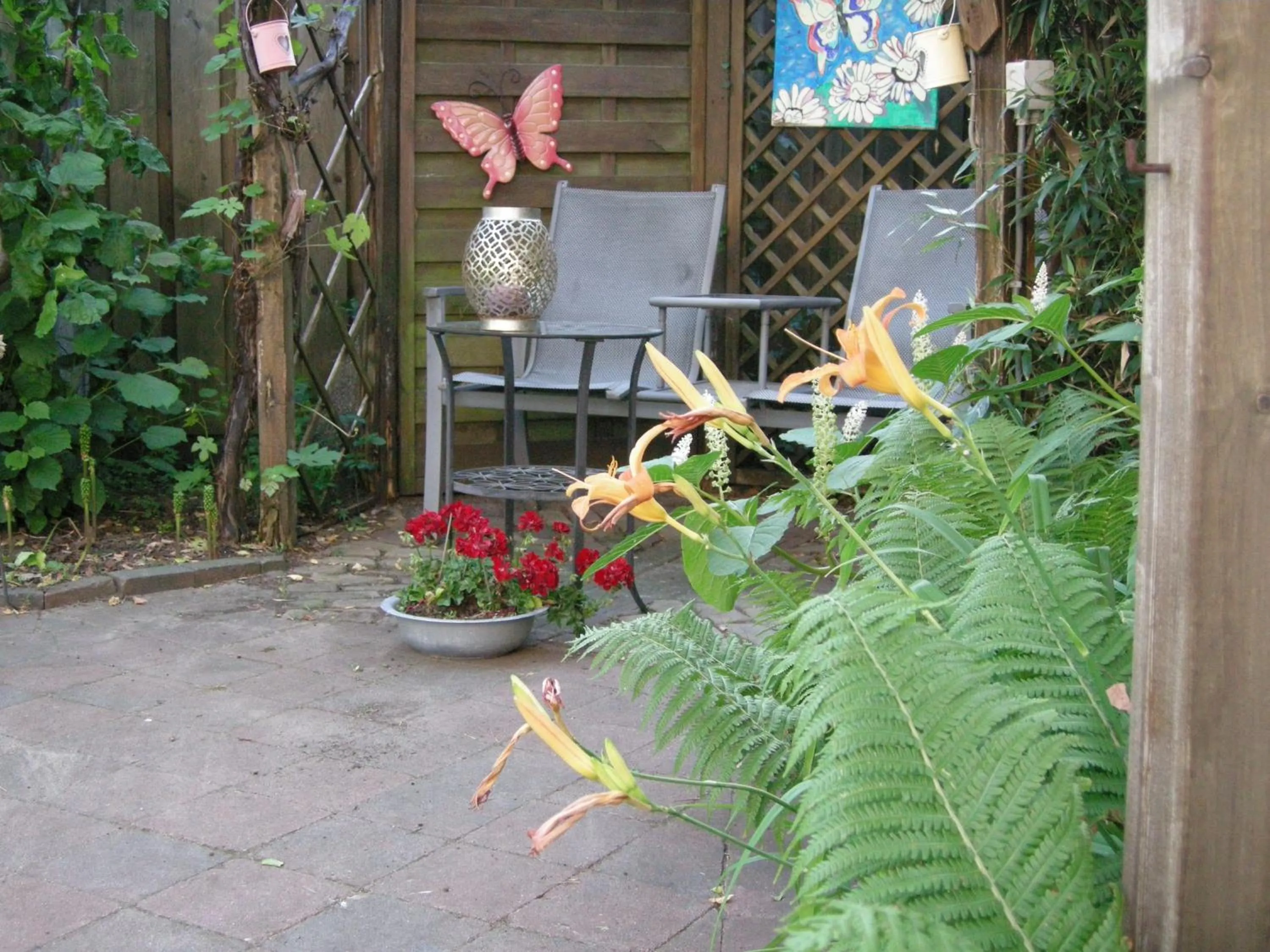 Balcony/Terrace in B&B overnachting de Margriet