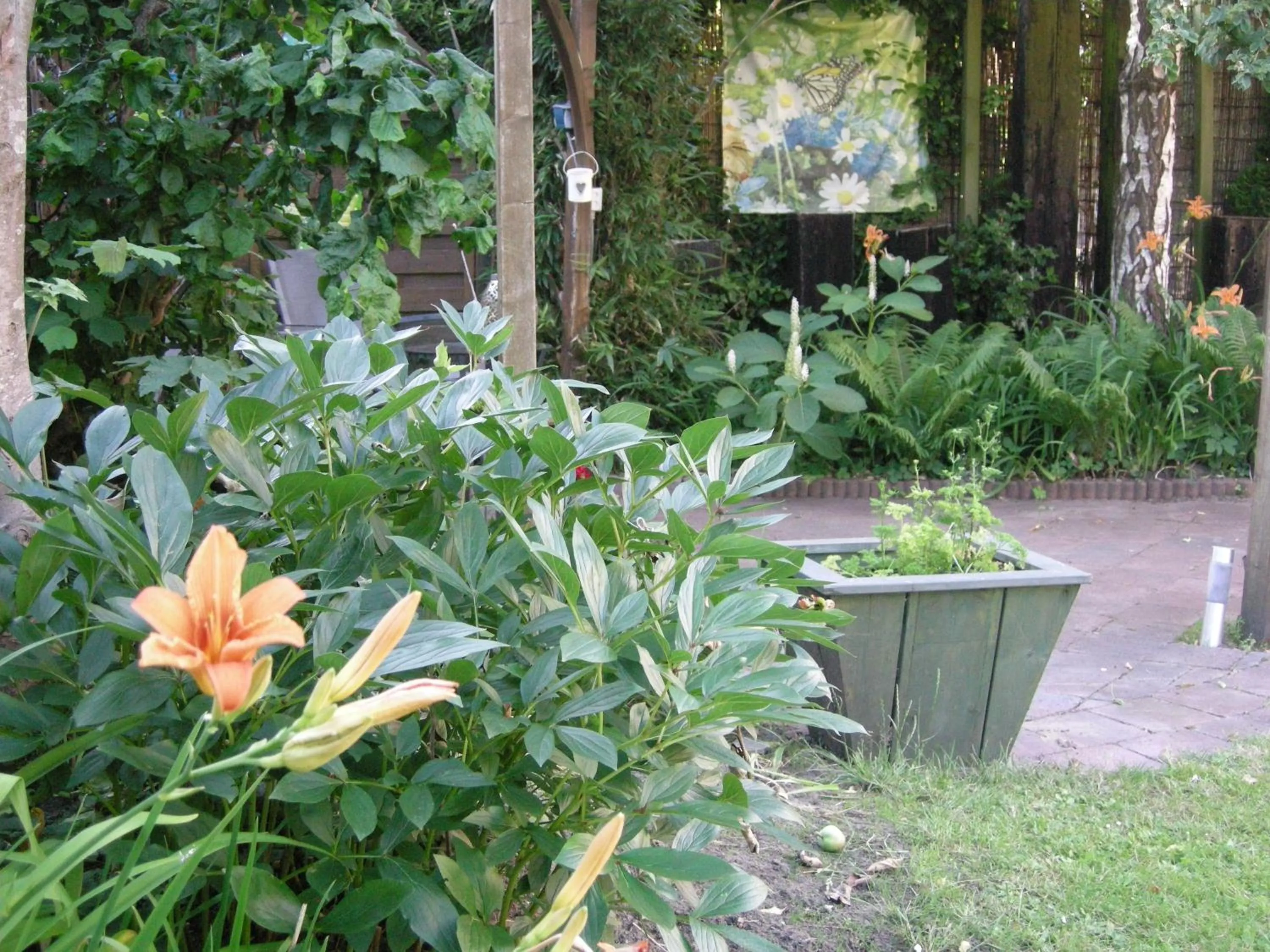 Garden in B&B overnachting de Margriet