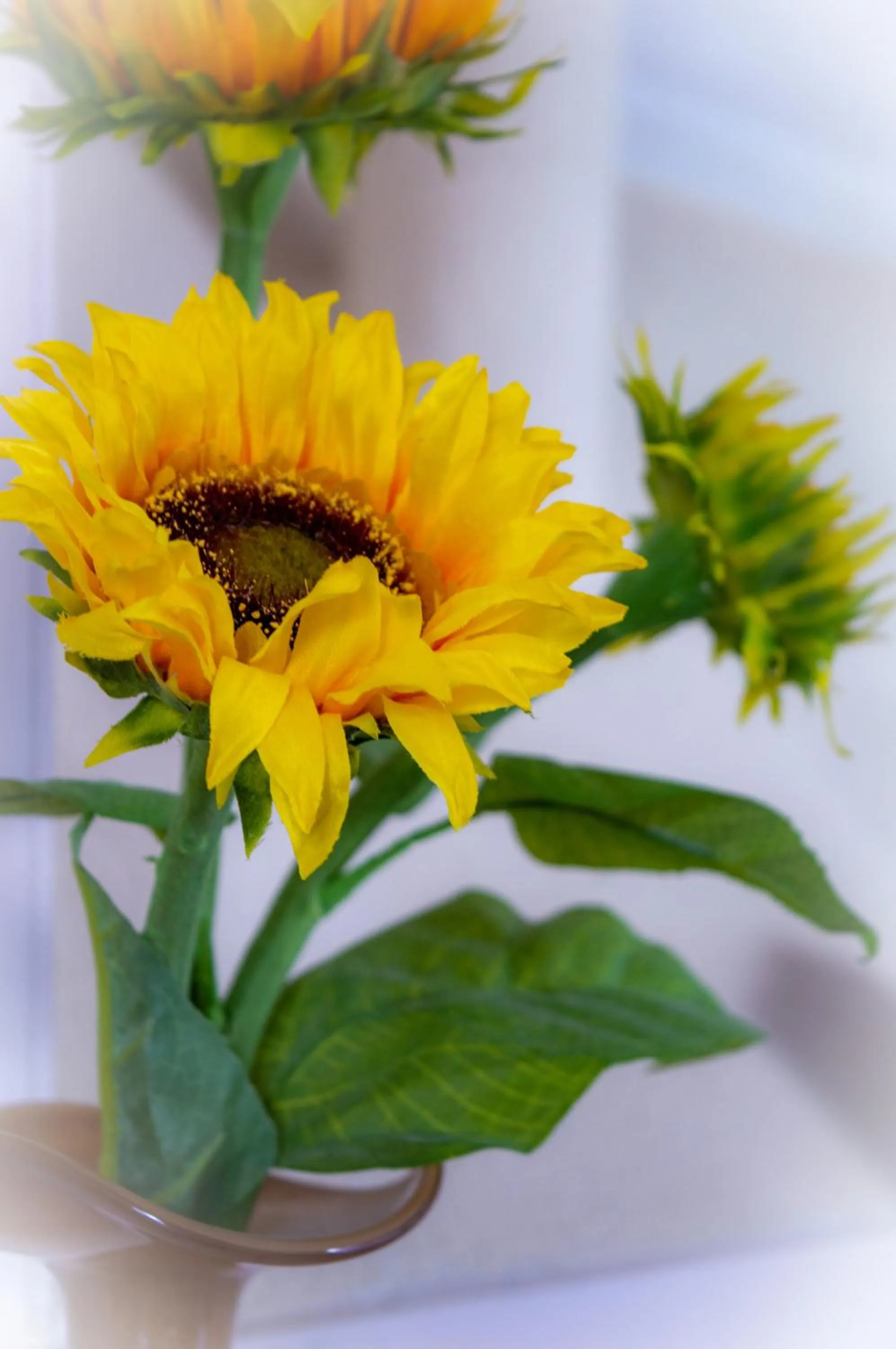 Decorative detail in B&B overnachting de Margriet