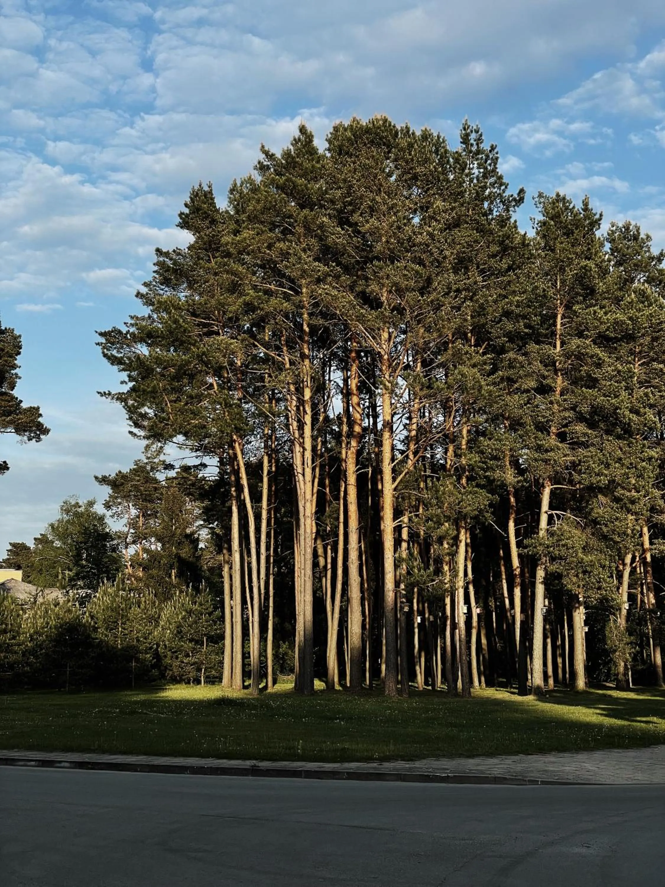 Natural landscape in Mana Sleep & Spa