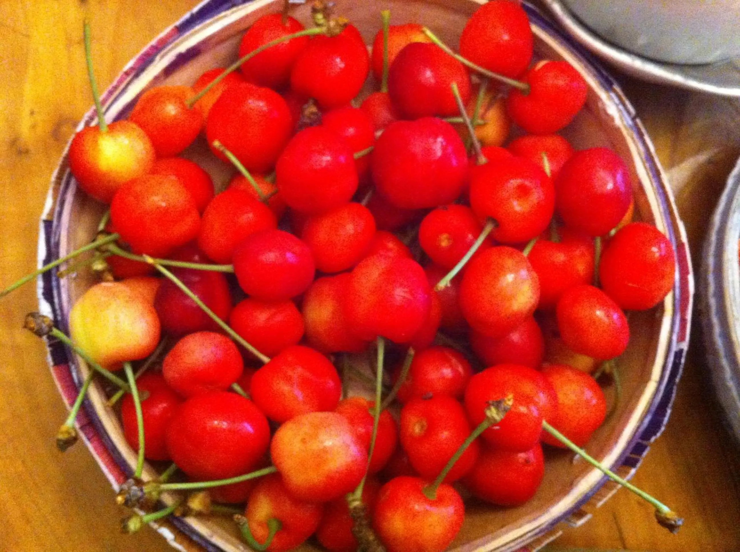Food close-up in Le Clos de La Muse