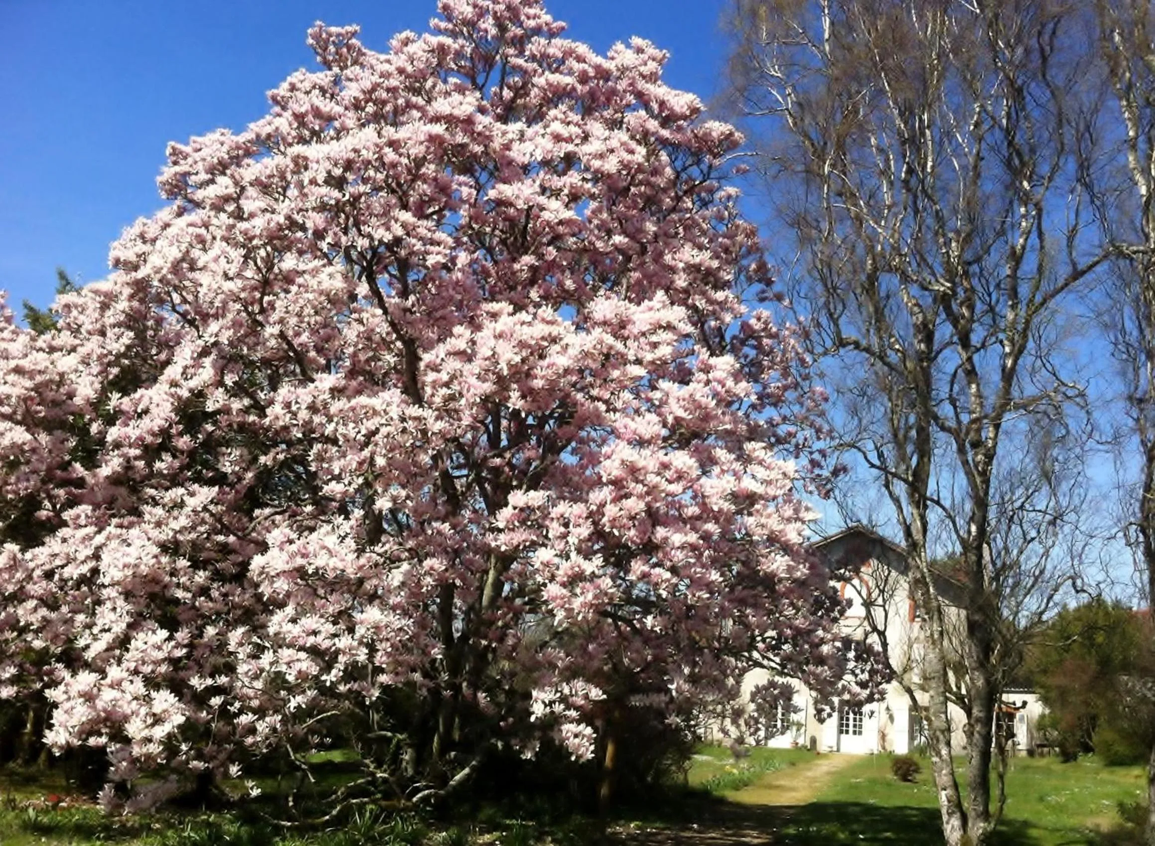 Garden in Le Clos de La Muse