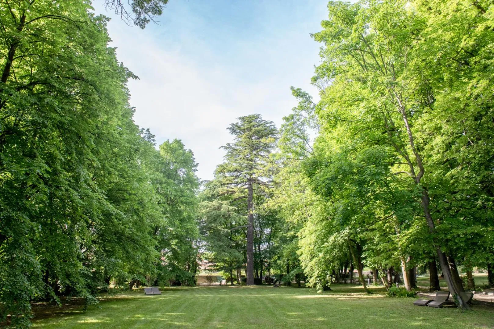 Garden in Hôtel & SPA Ventoux Provence "Domaine des Tilleuls"
