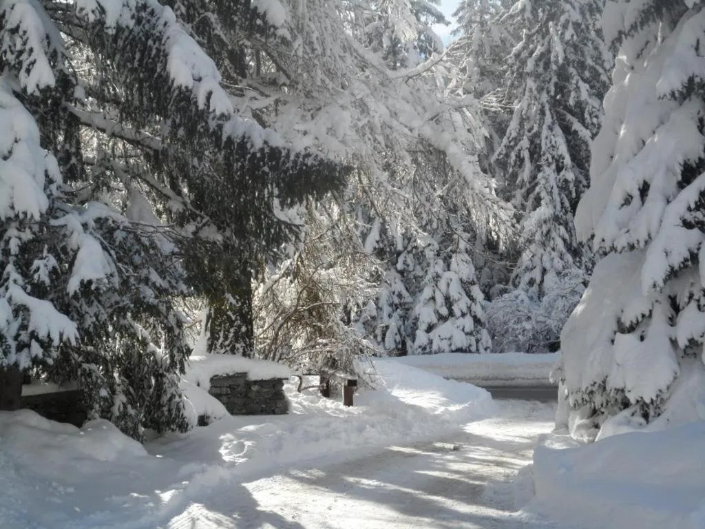 Albergo Monte Cervino