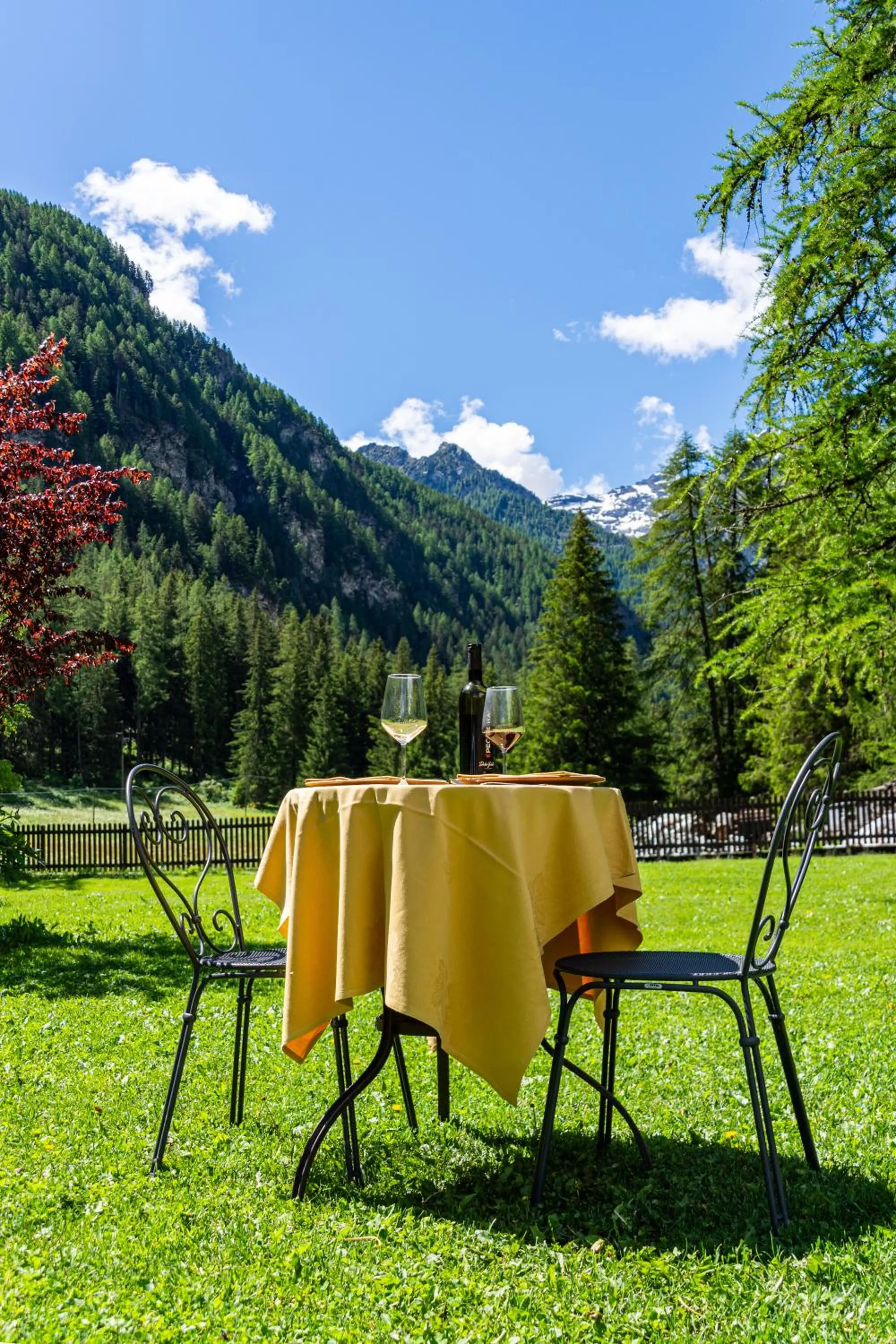 Day in Albergo Monte Cervino