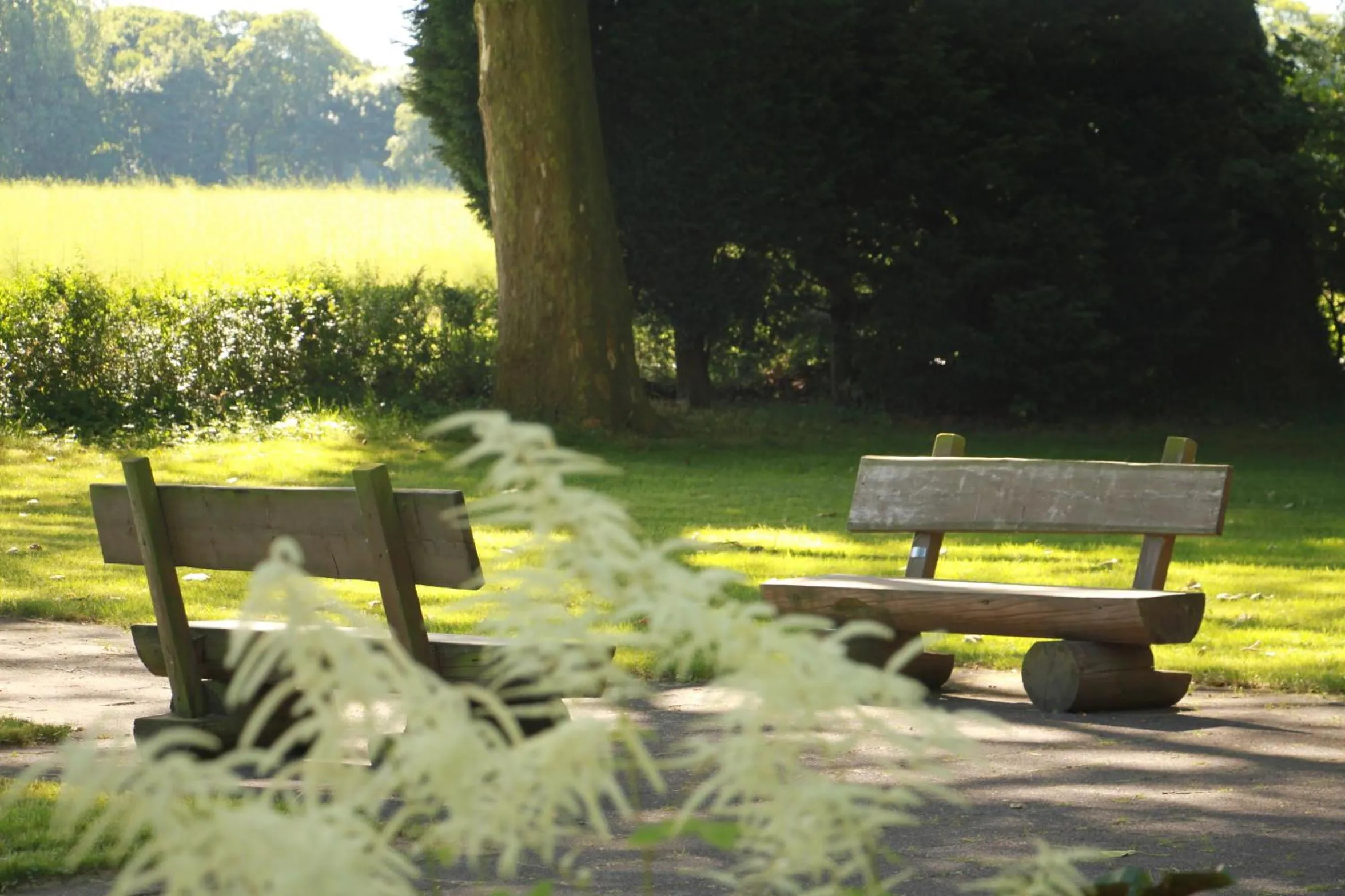 Garden in Gästehaus Alte Schule