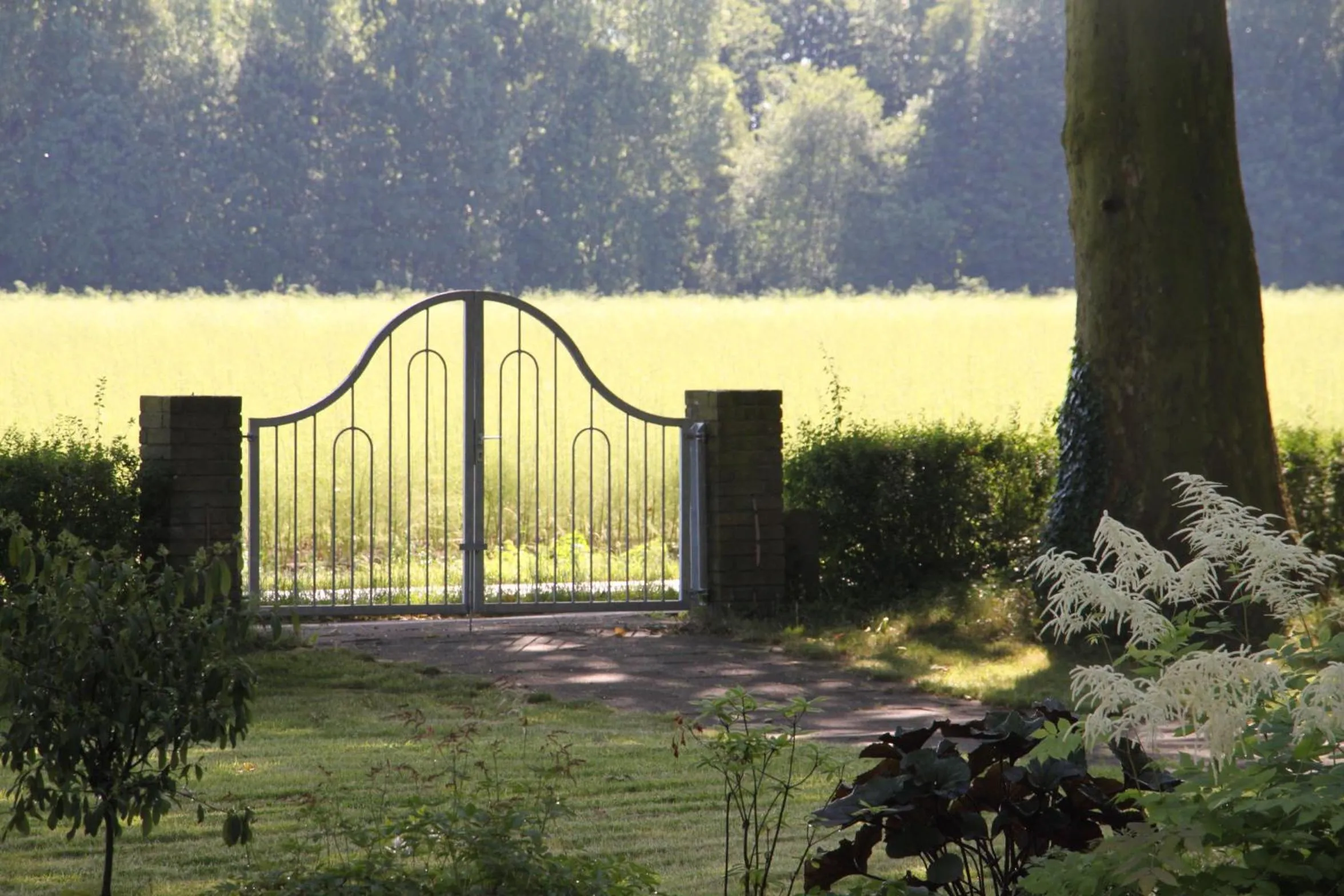 Garden in Gästehaus Alte Schule