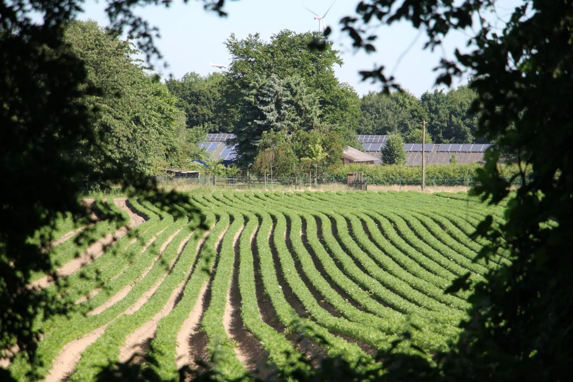 Natural landscape in Gästehaus Alte Schule