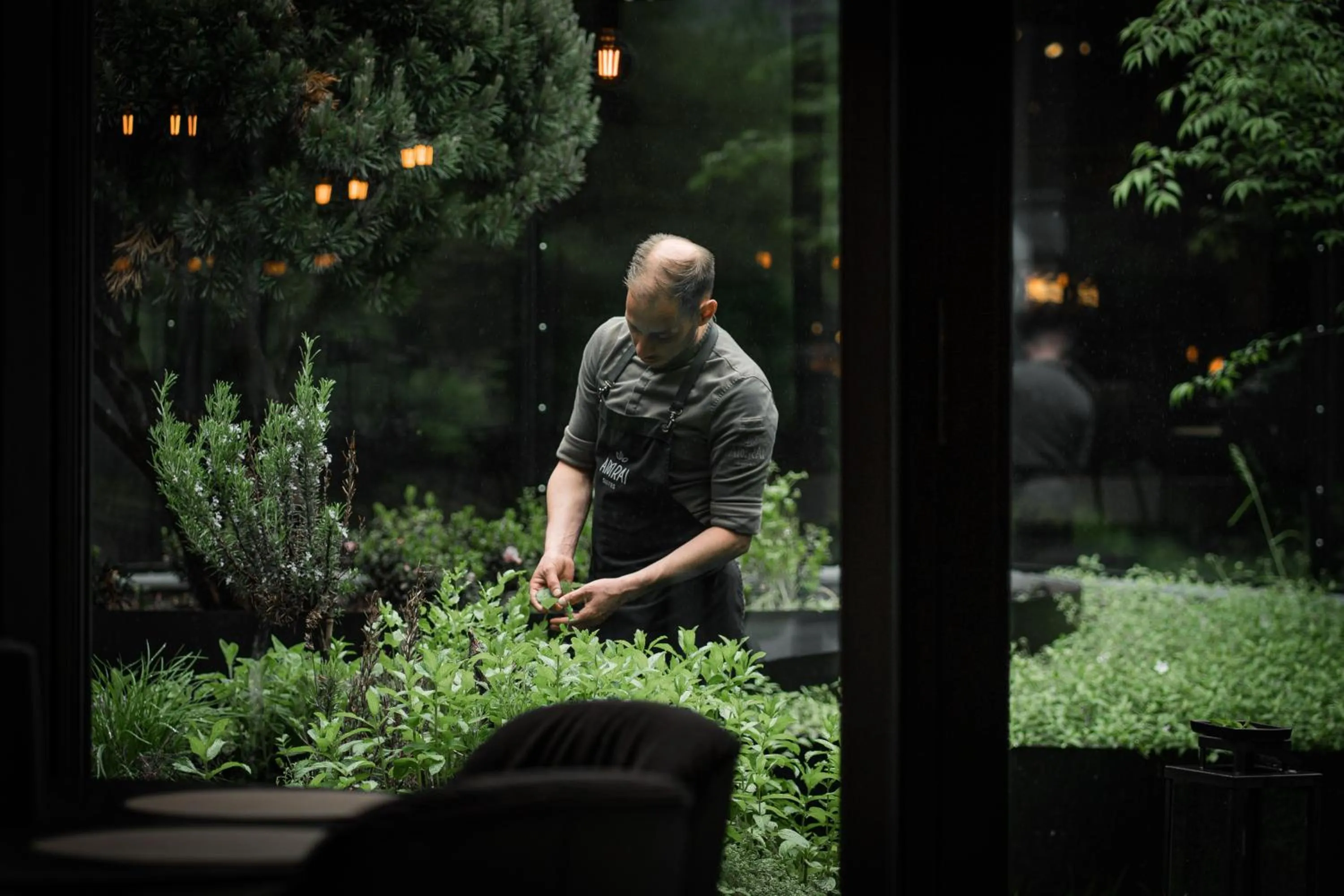 Restaurant/places to eat in Amrai Suites