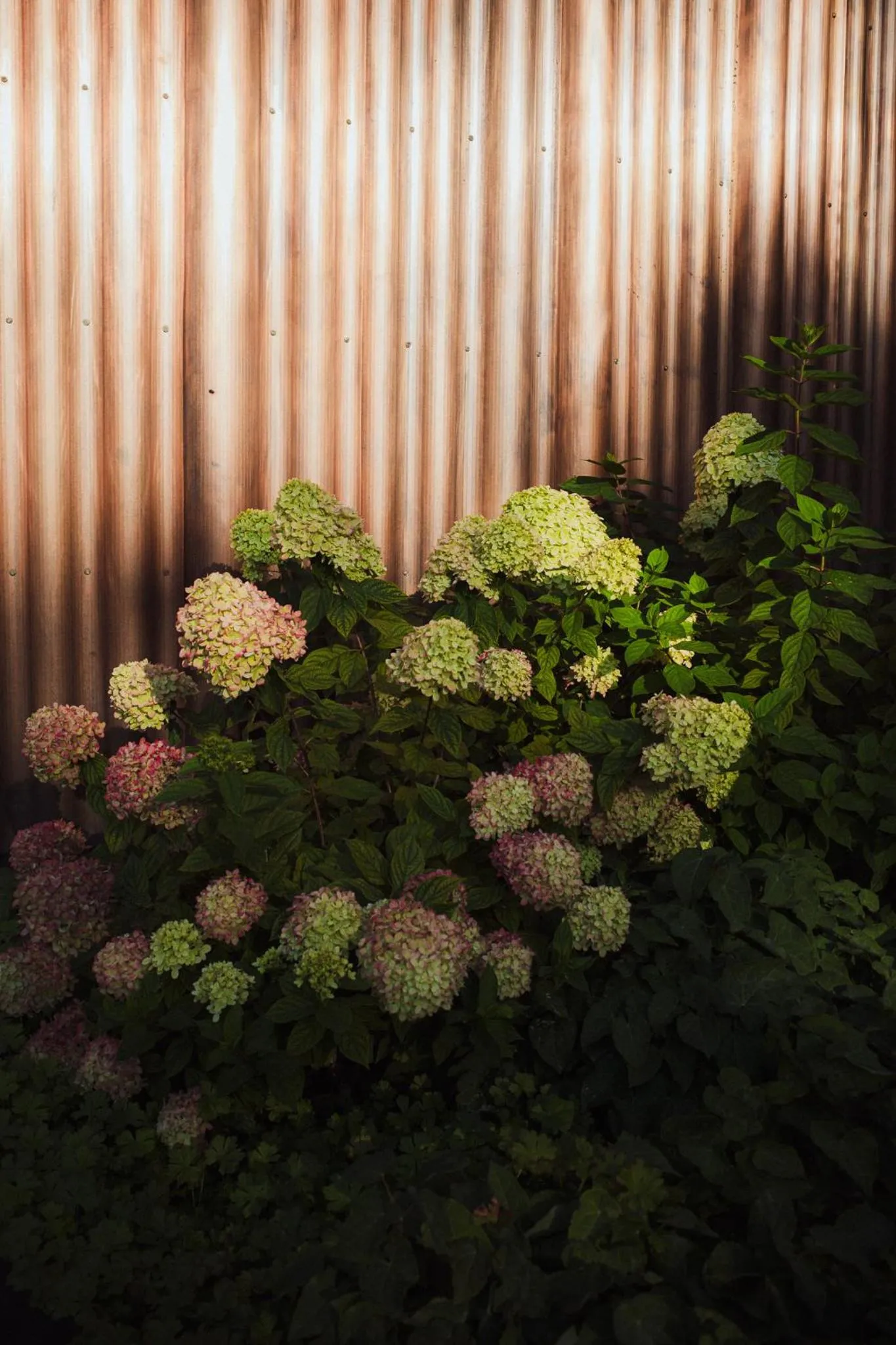 Property building in Amrai Suites