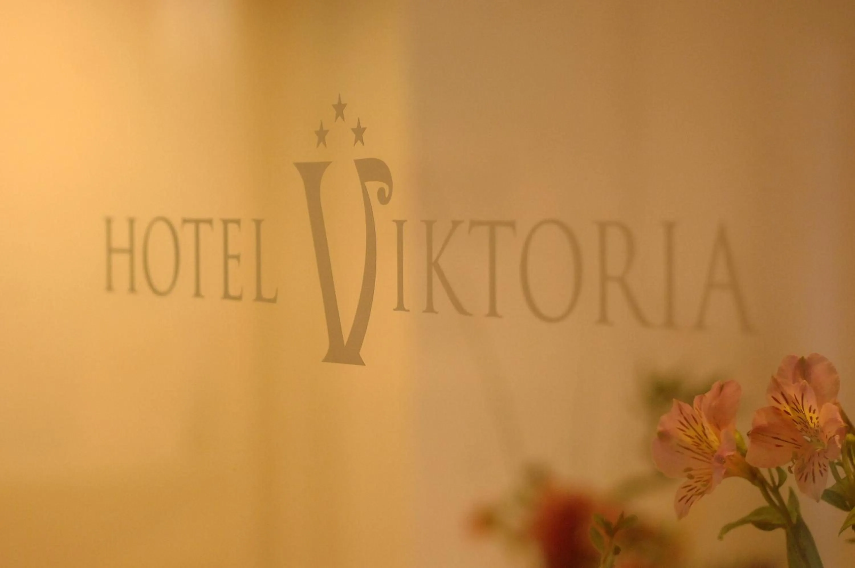 Other in Hotel Viktoria-Leukerbad-Therme