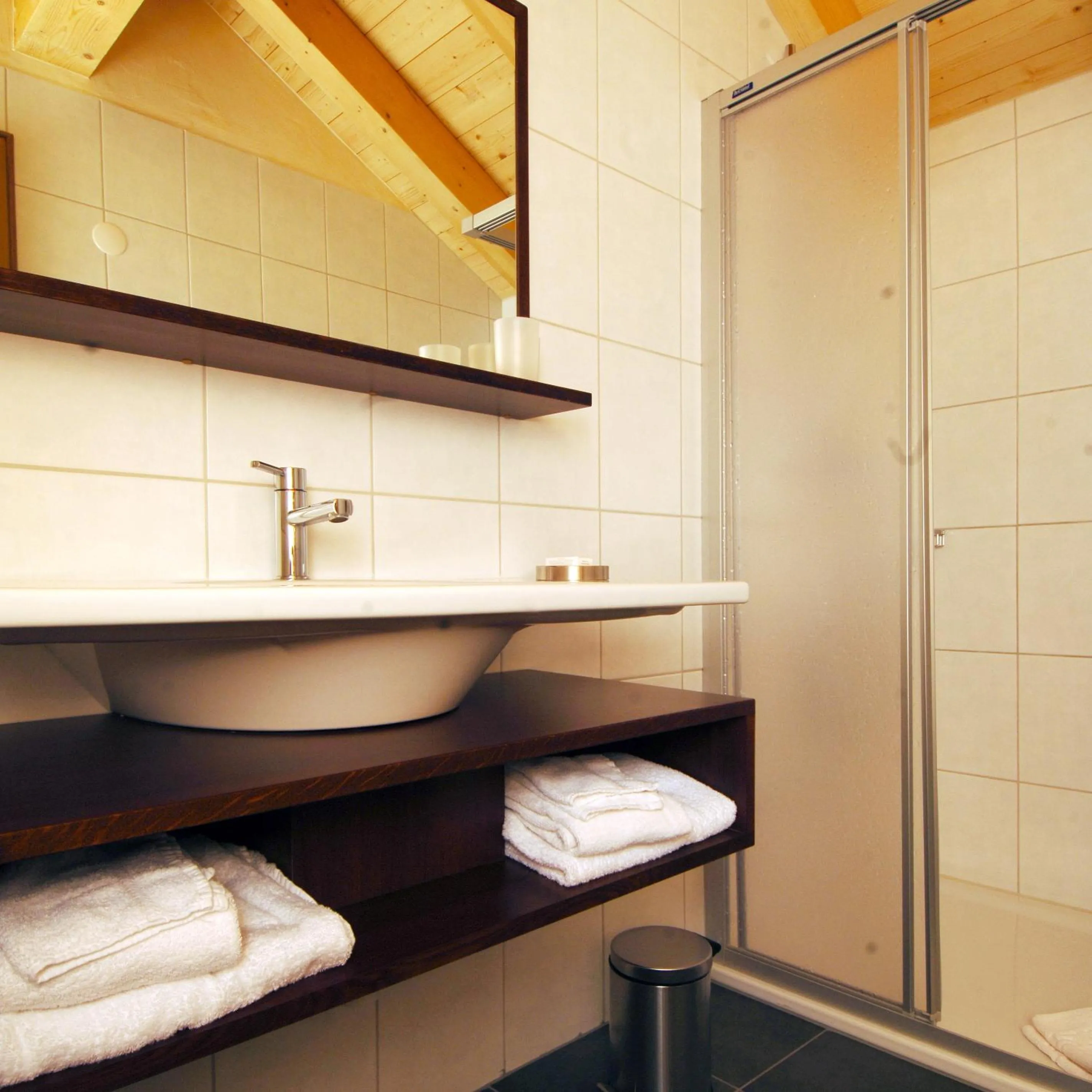 Shower in Hotel Viktoria-Leukerbad-Therme