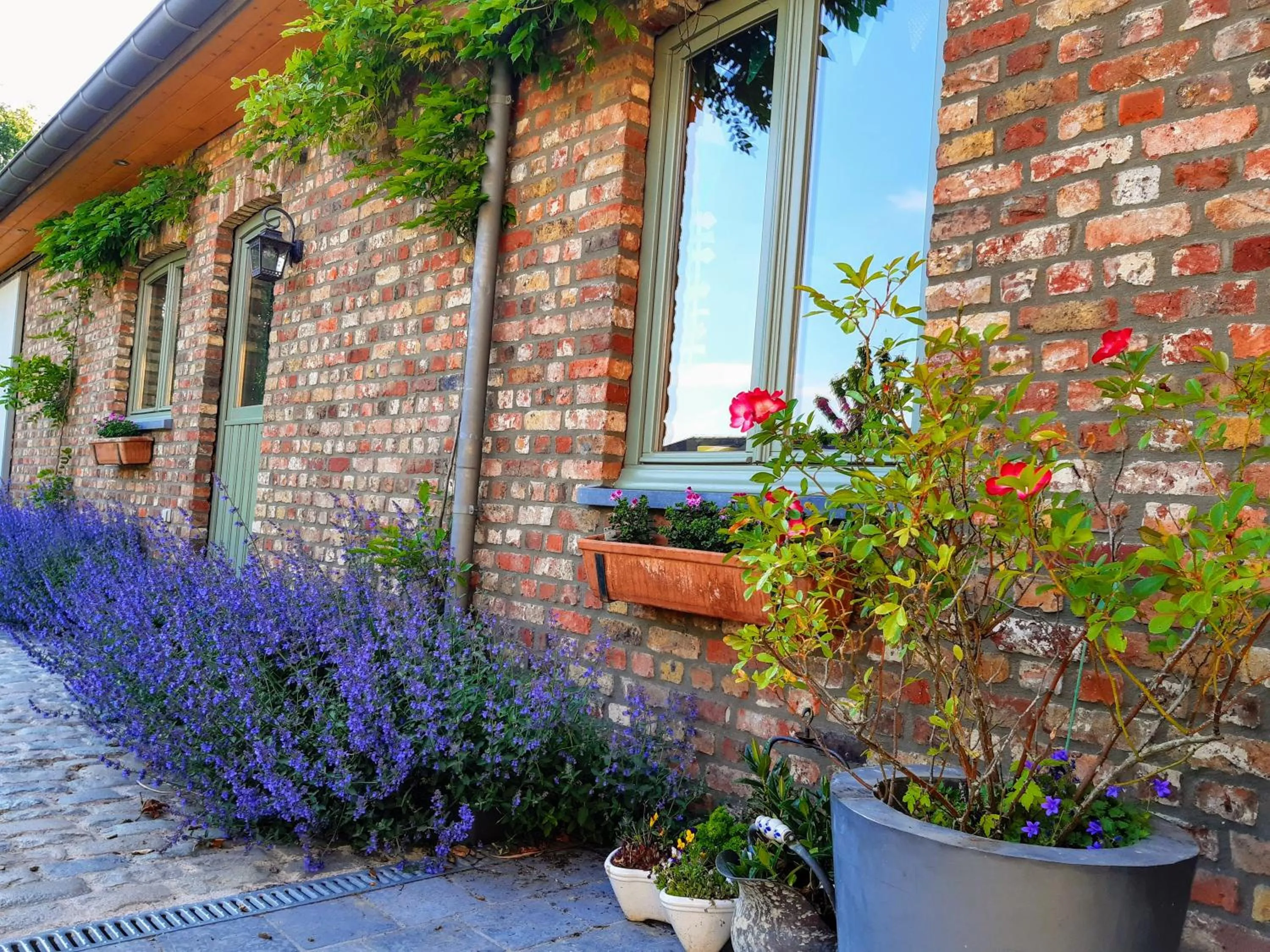 Property building in B&B Lora