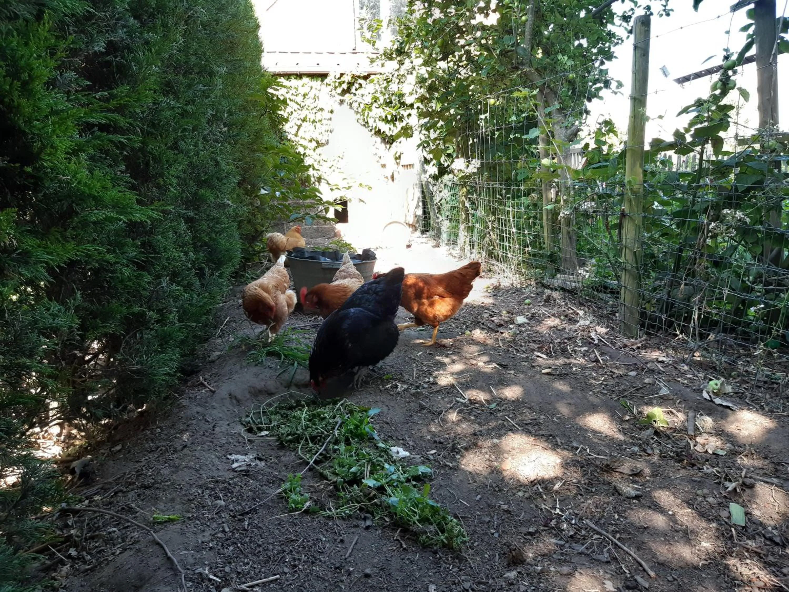 Property building in B&B Lora