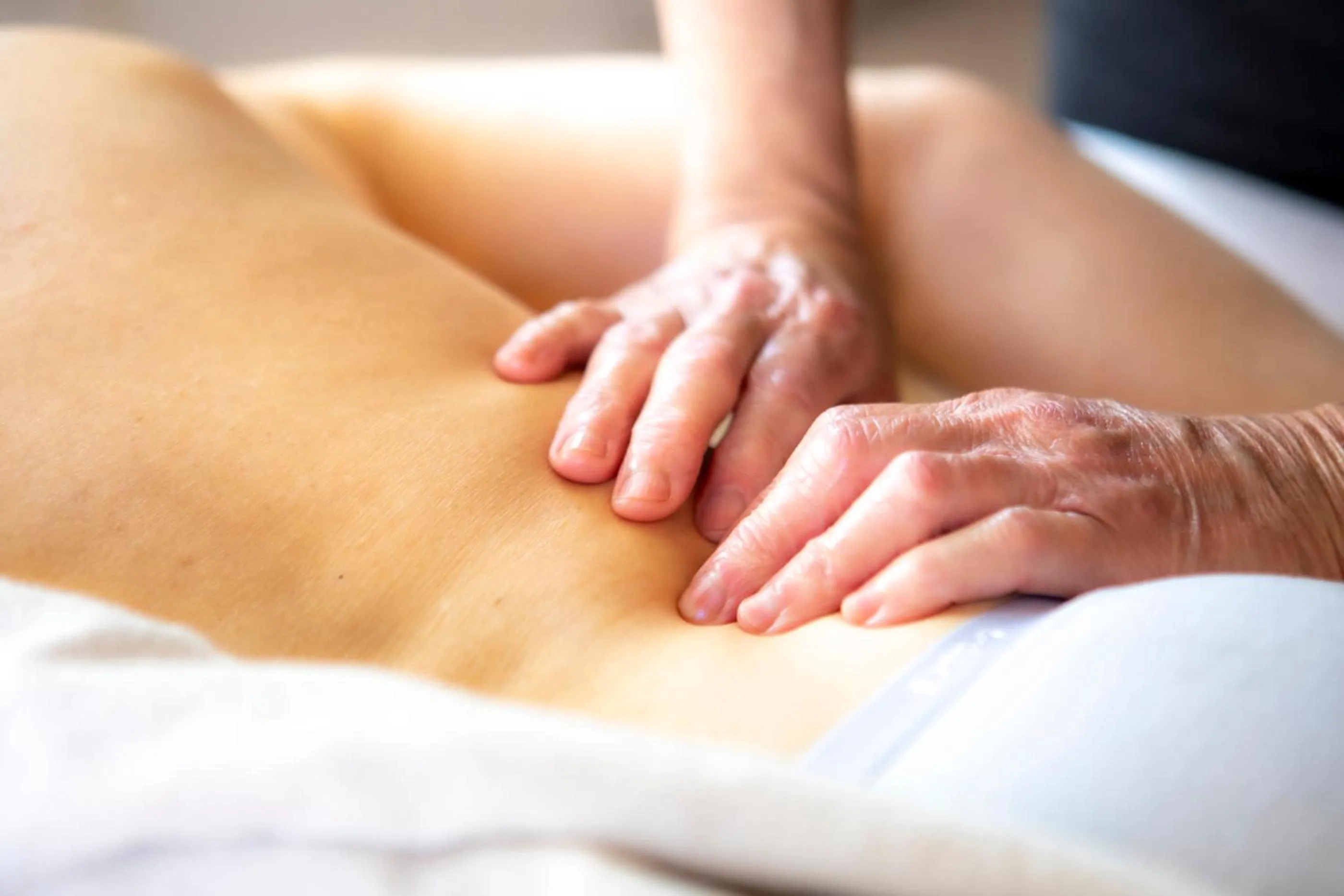 O'Myosotis - 400m Centre Historique - Parking Gratuit - Piscine et Jardin