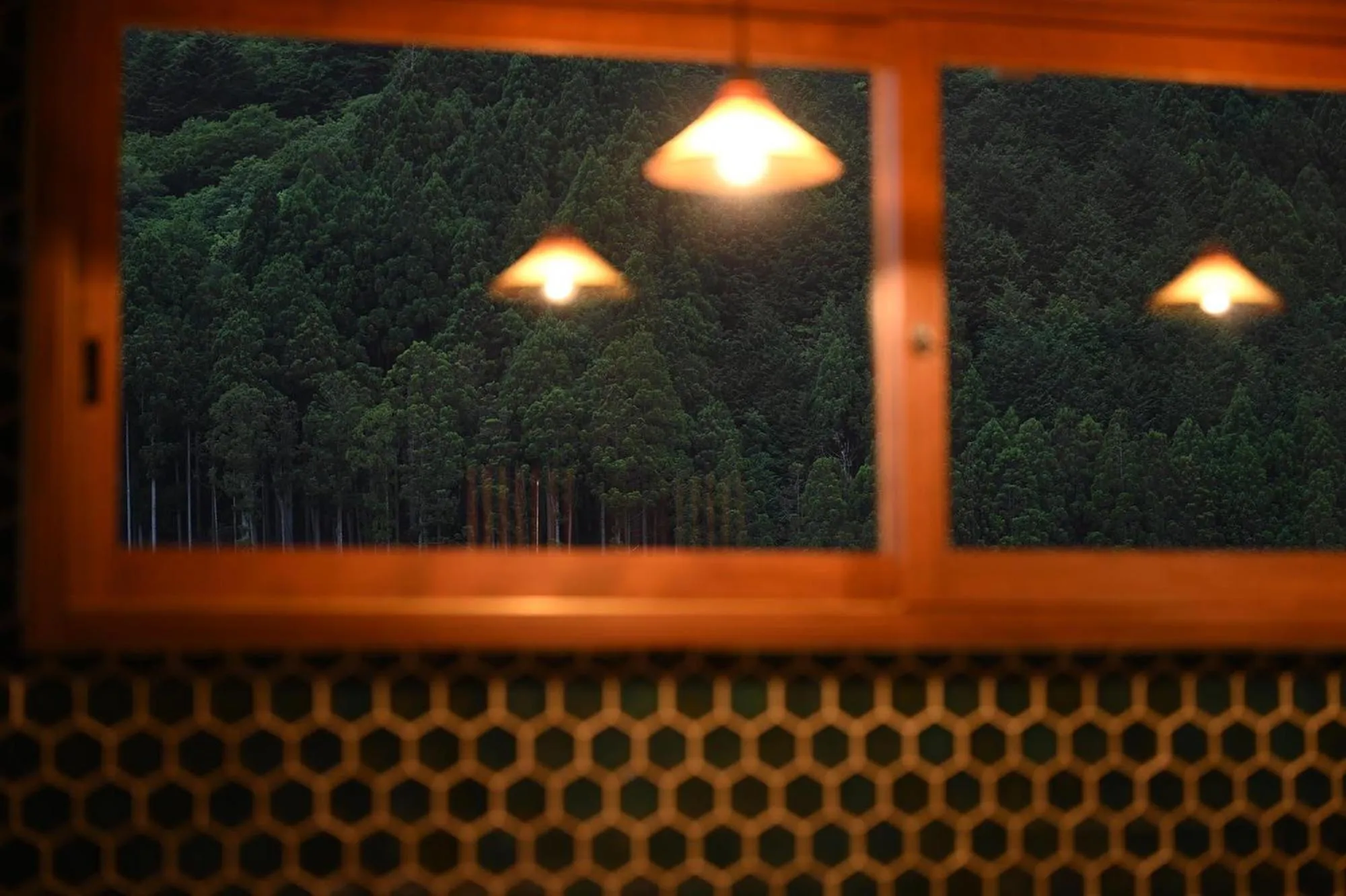 Night in Casa Miyama