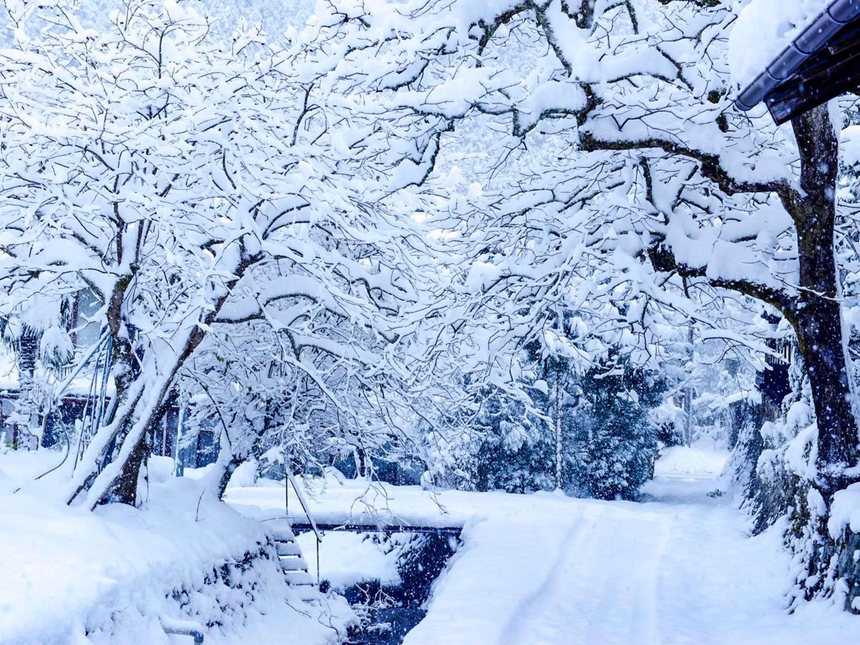 Off site in Casa Miyama