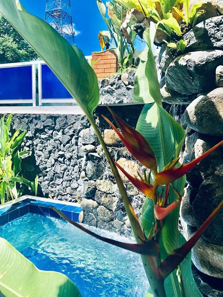 Seacliff Suites Hotel and Resort