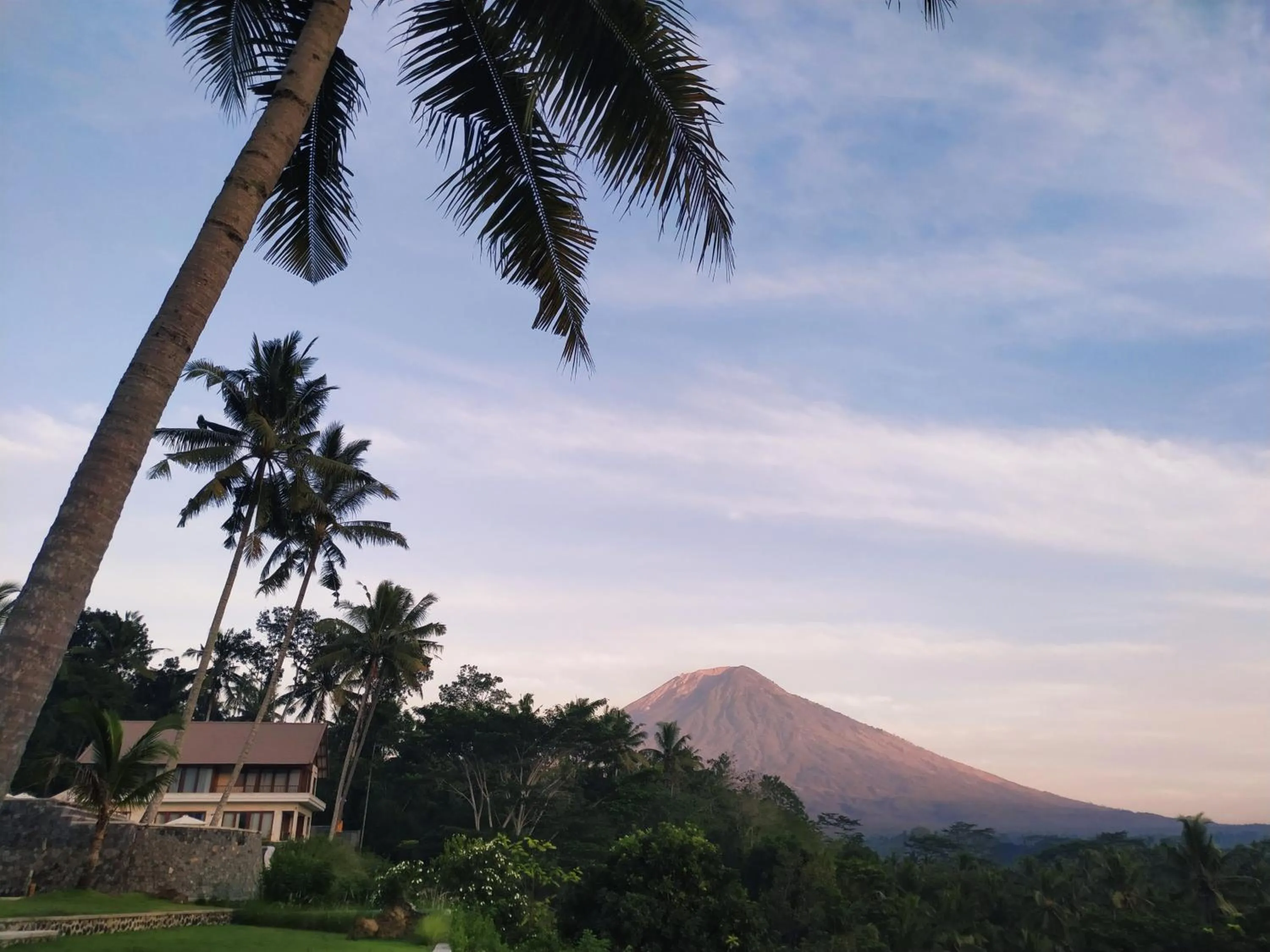 Mountain view in Palmterrace