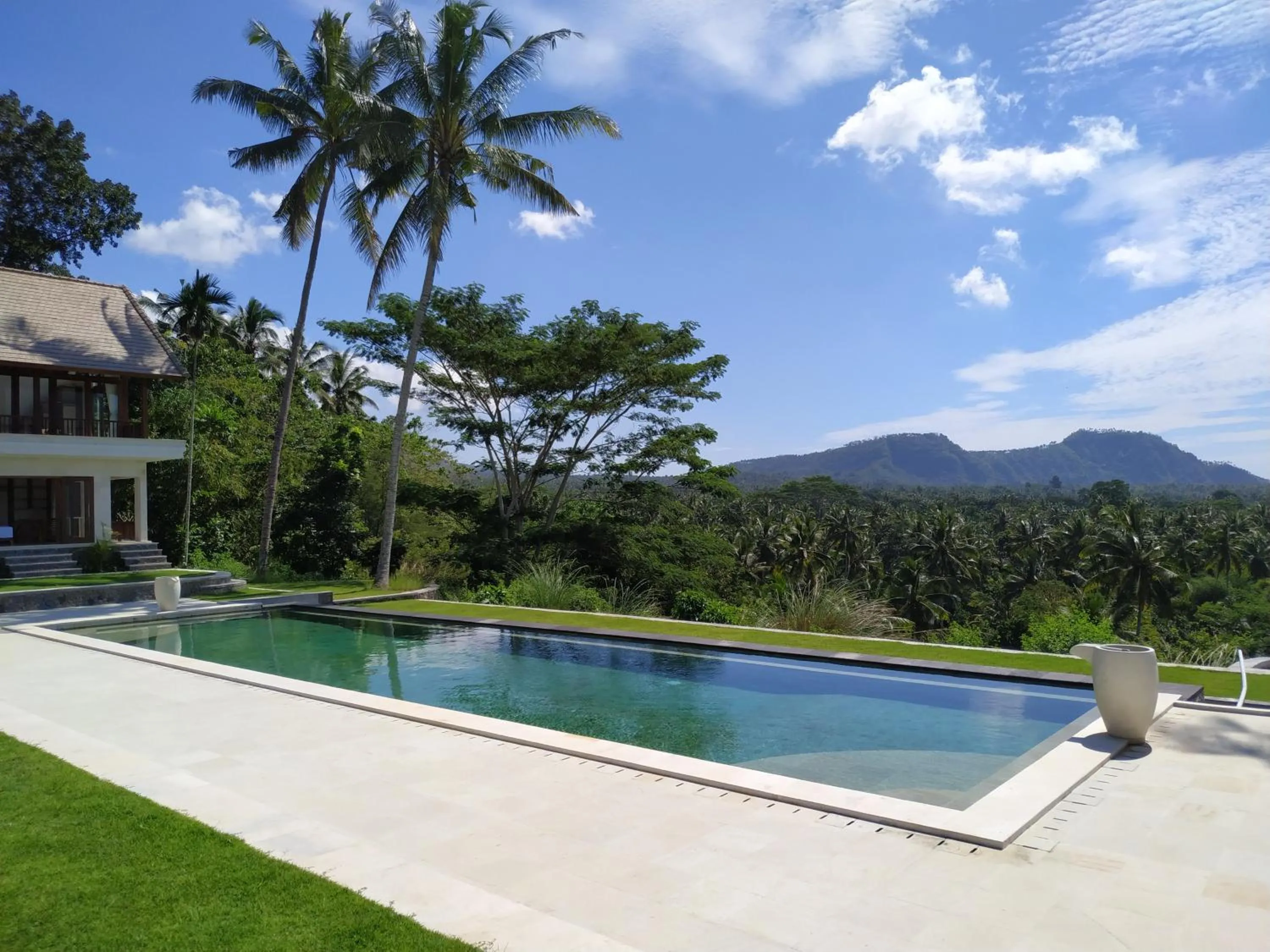 Swimming pool in Palmterrace