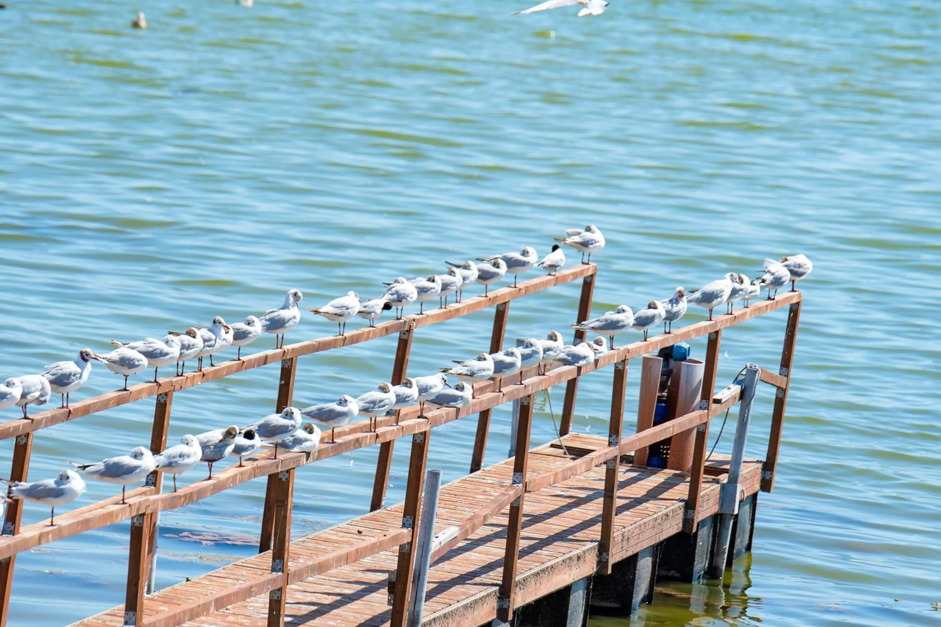 Enjoy Life Apartments