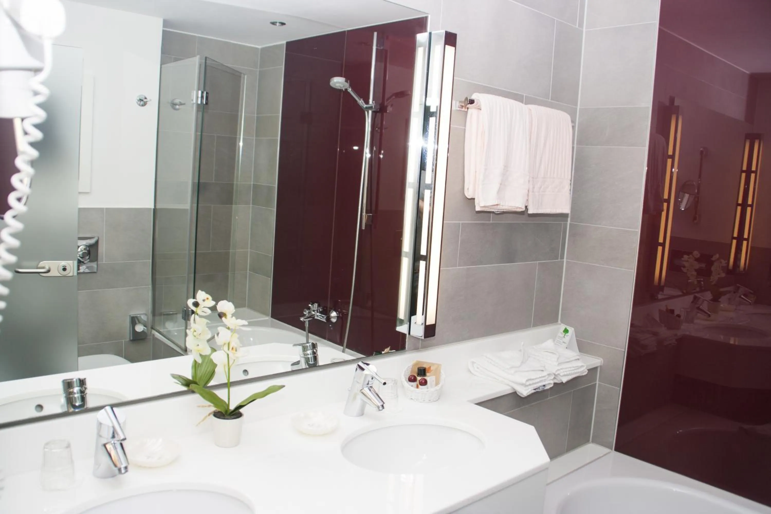 Shower in Hotel zum Adler - Superior