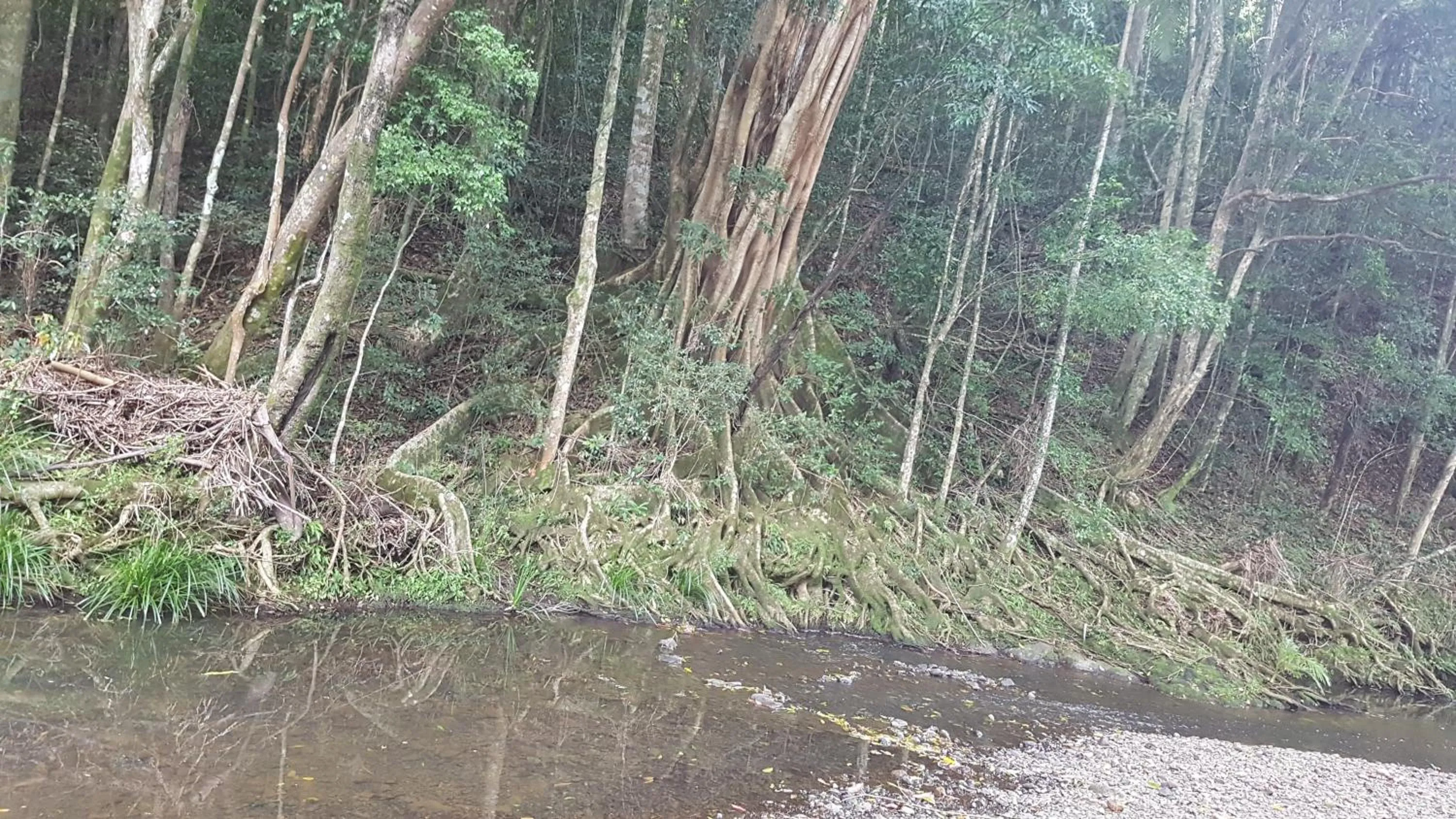 Starry Nights Luxury Camping