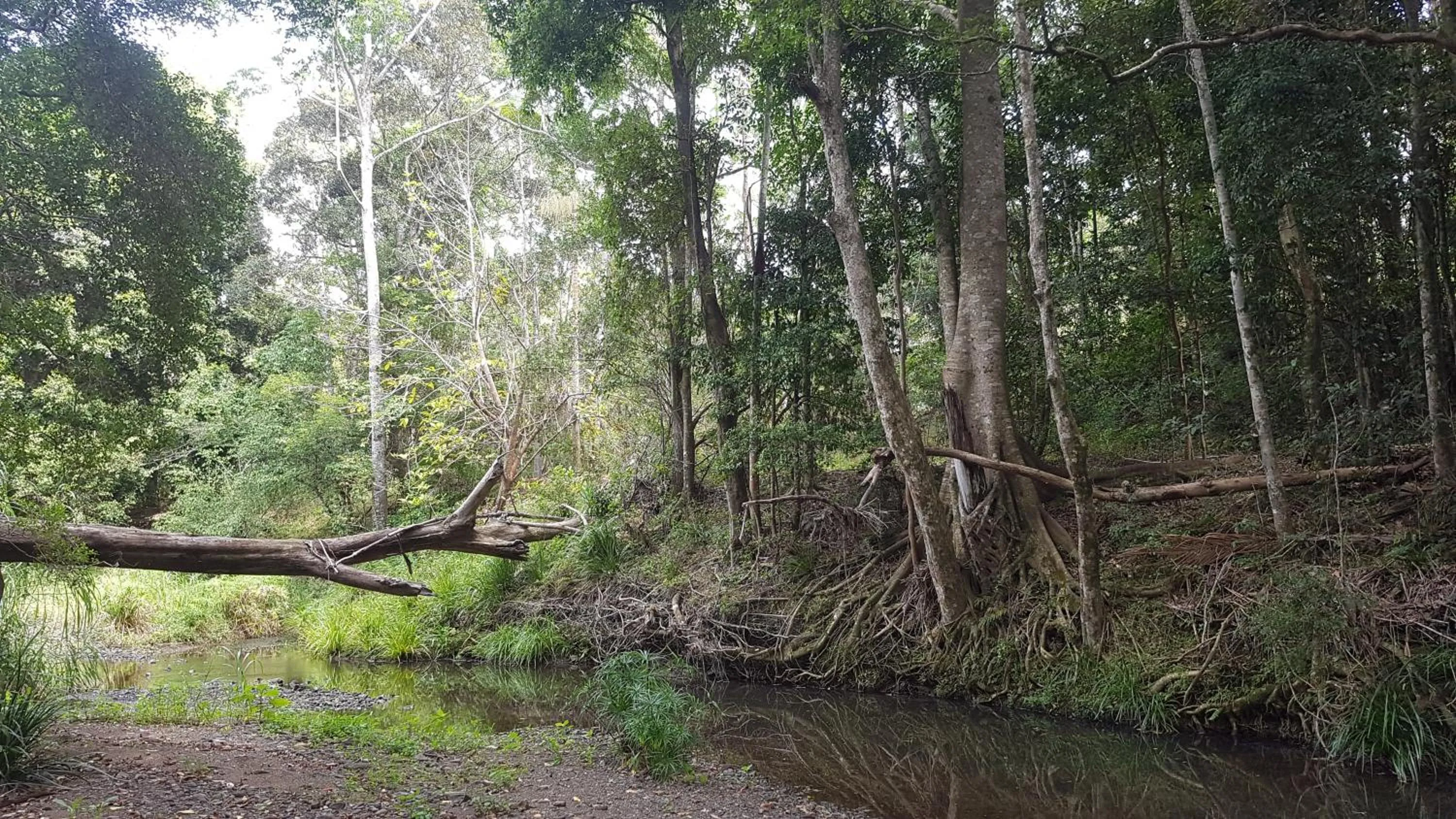 Natural landscape in Starry Nights Luxury Camping
