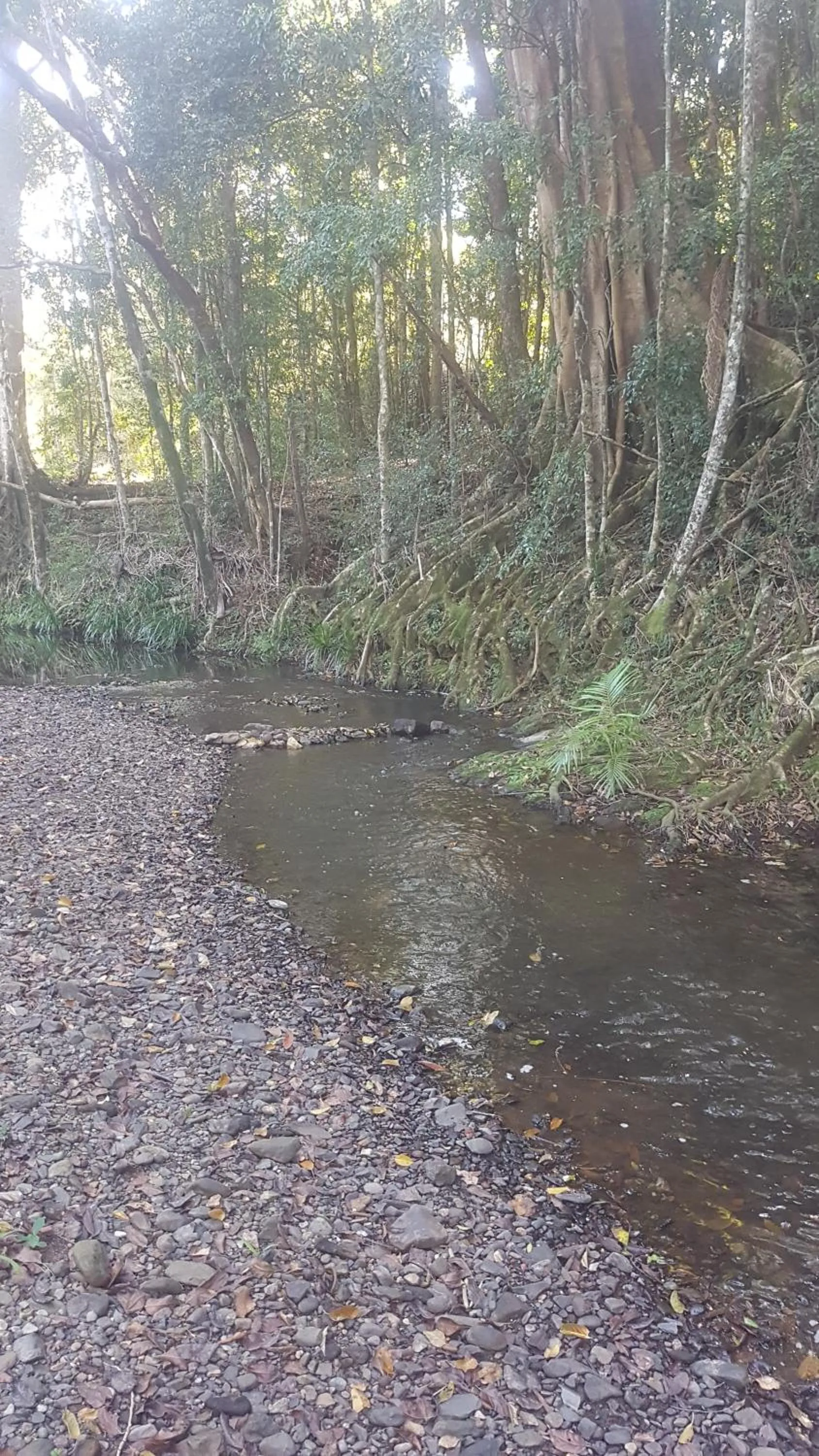 Starry Nights Luxury Camping