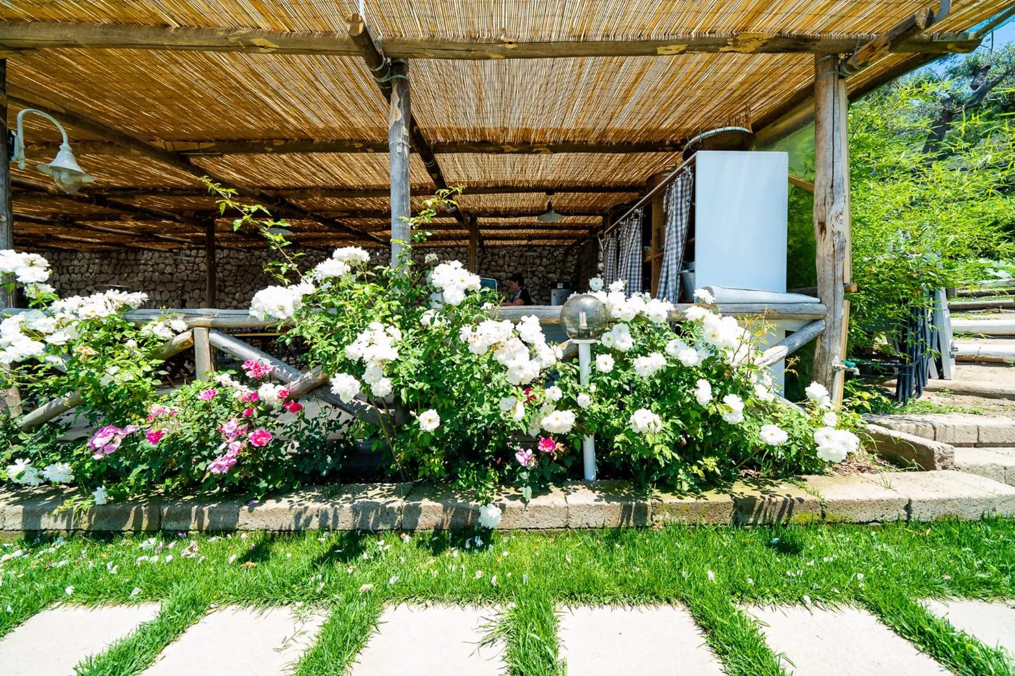 Property building in Villa Lorelei