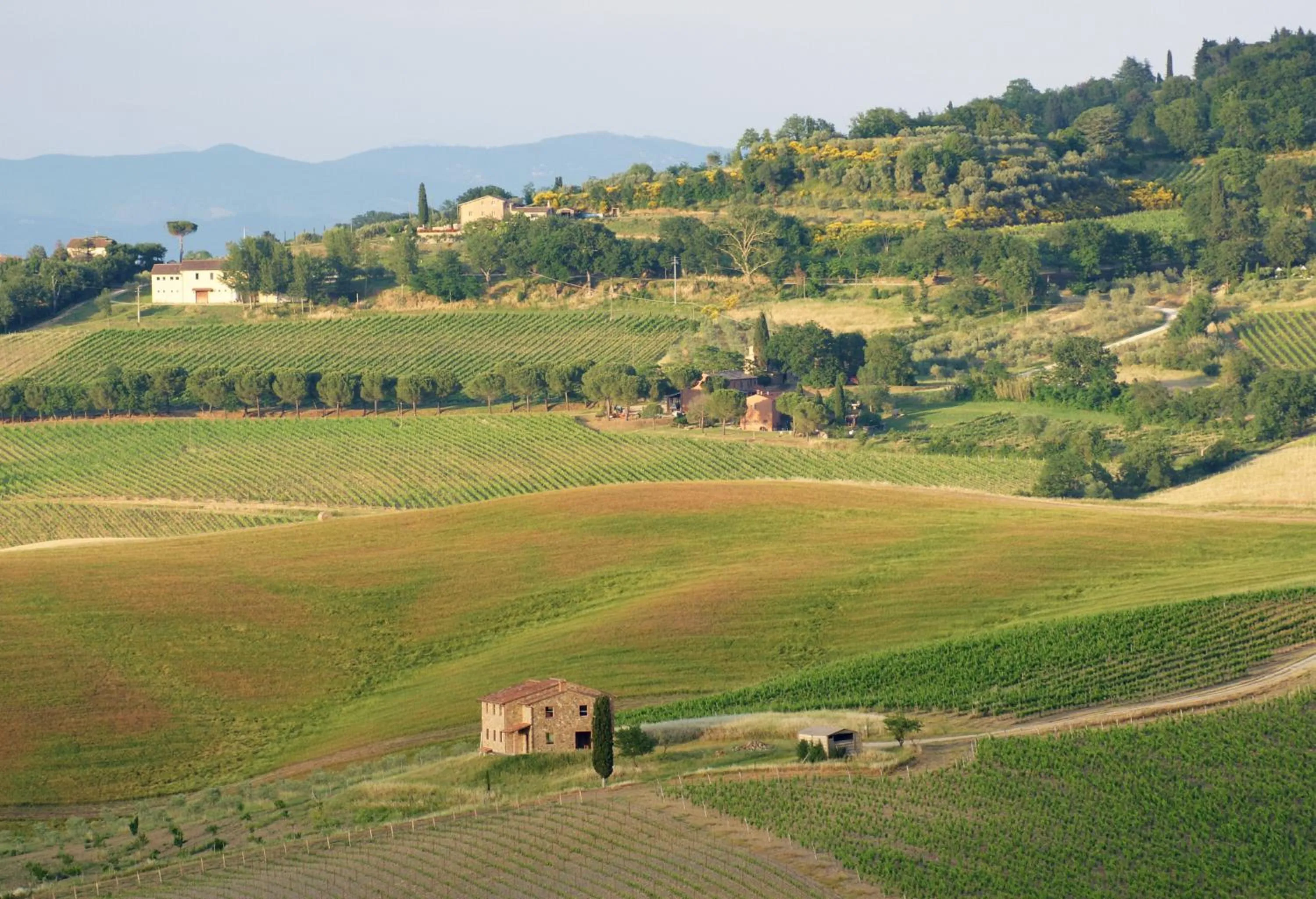 Natural landscape in CUGUSI BnB