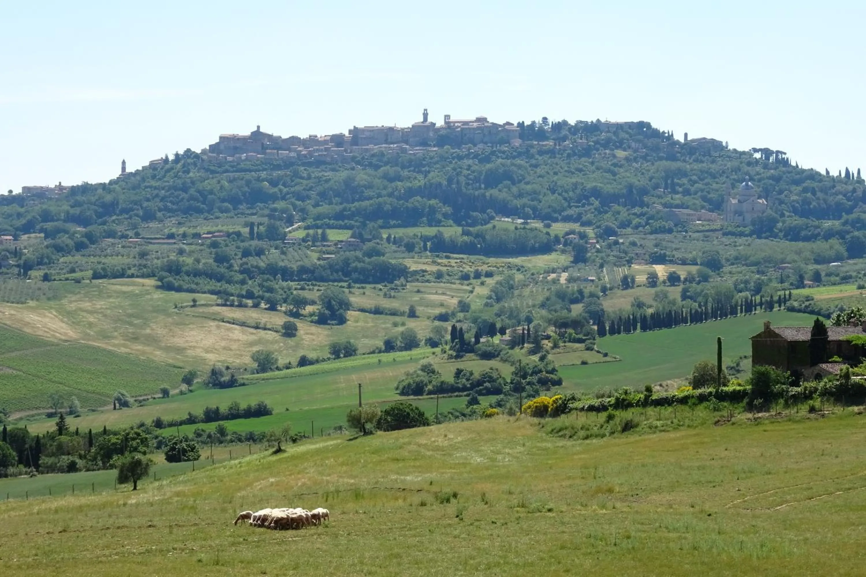 Natural landscape in CUGUSI BnB