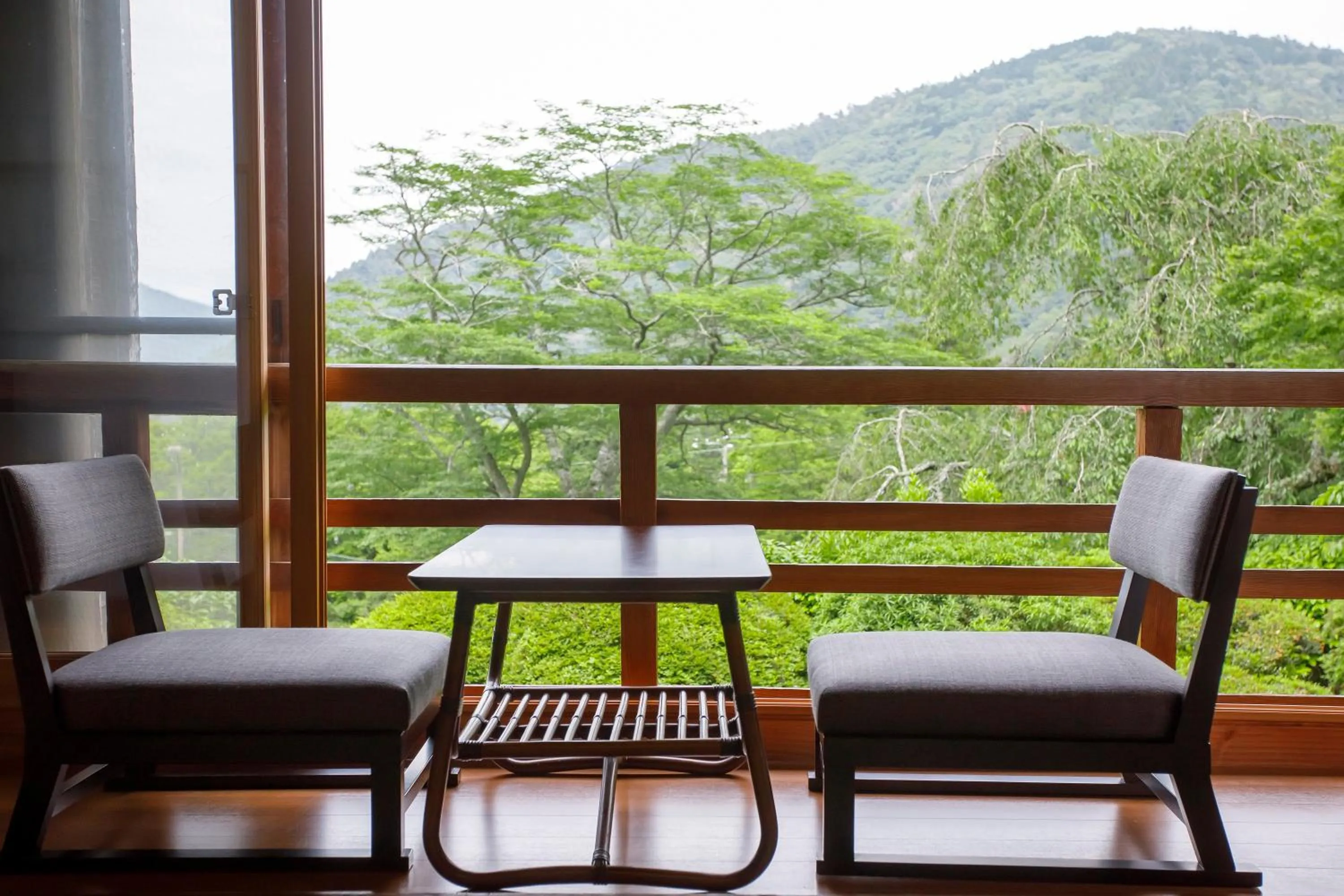 Natural landscape in Hakone Kowakien Mikawaya Ryokan