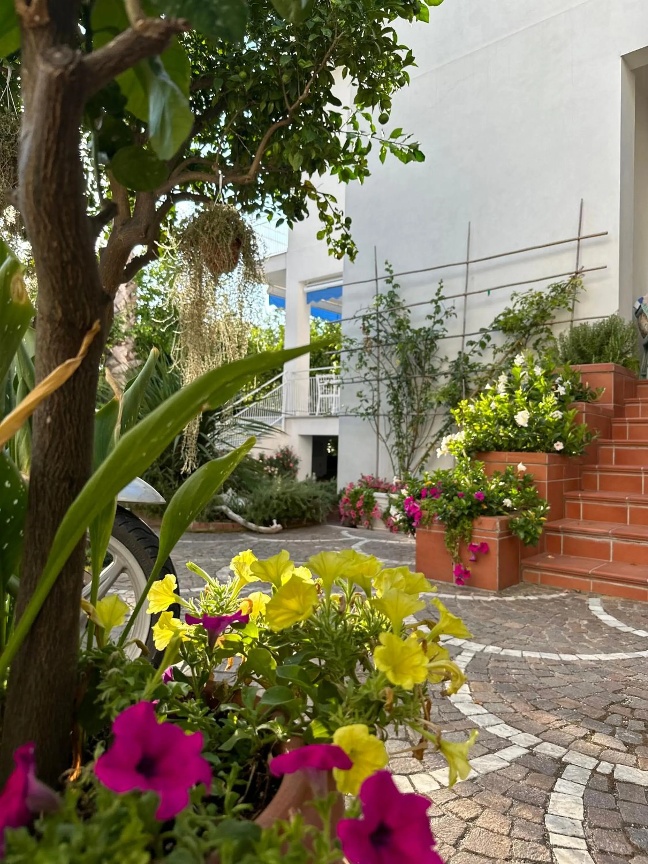 Property building in Villa Cettina Boutique Hotel