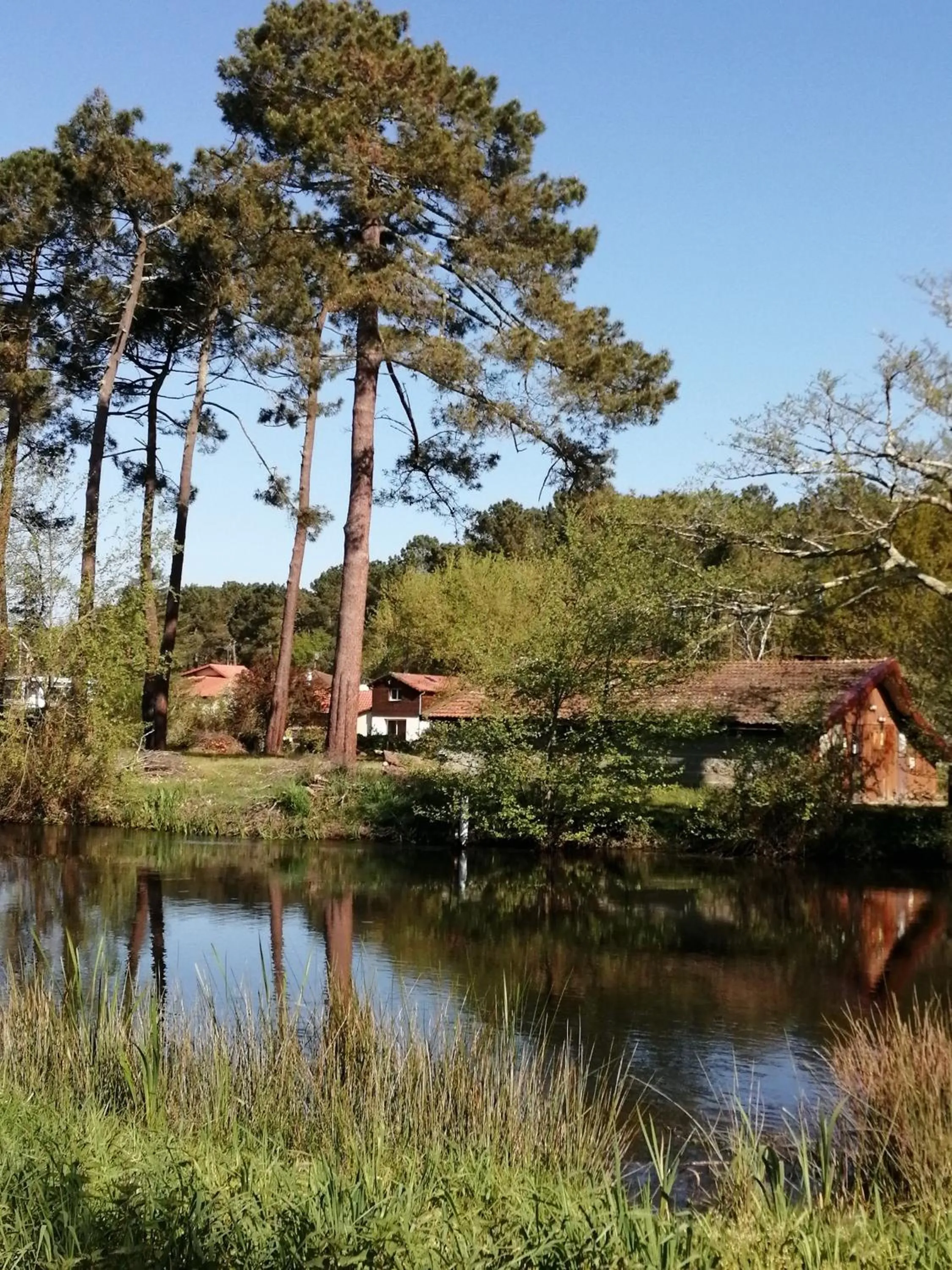 Chambre d'hôte Margot'te